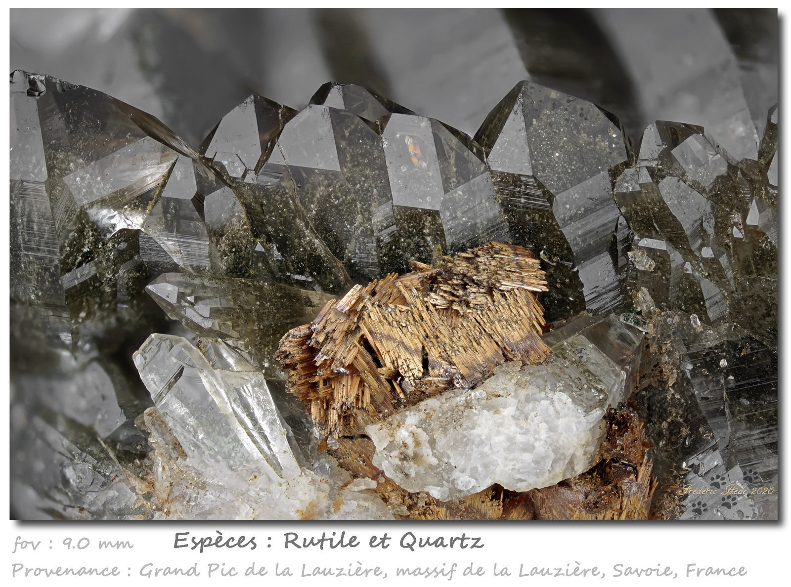Rutile and Quartz
fov 9.0 mm
(Autor: ploum)
