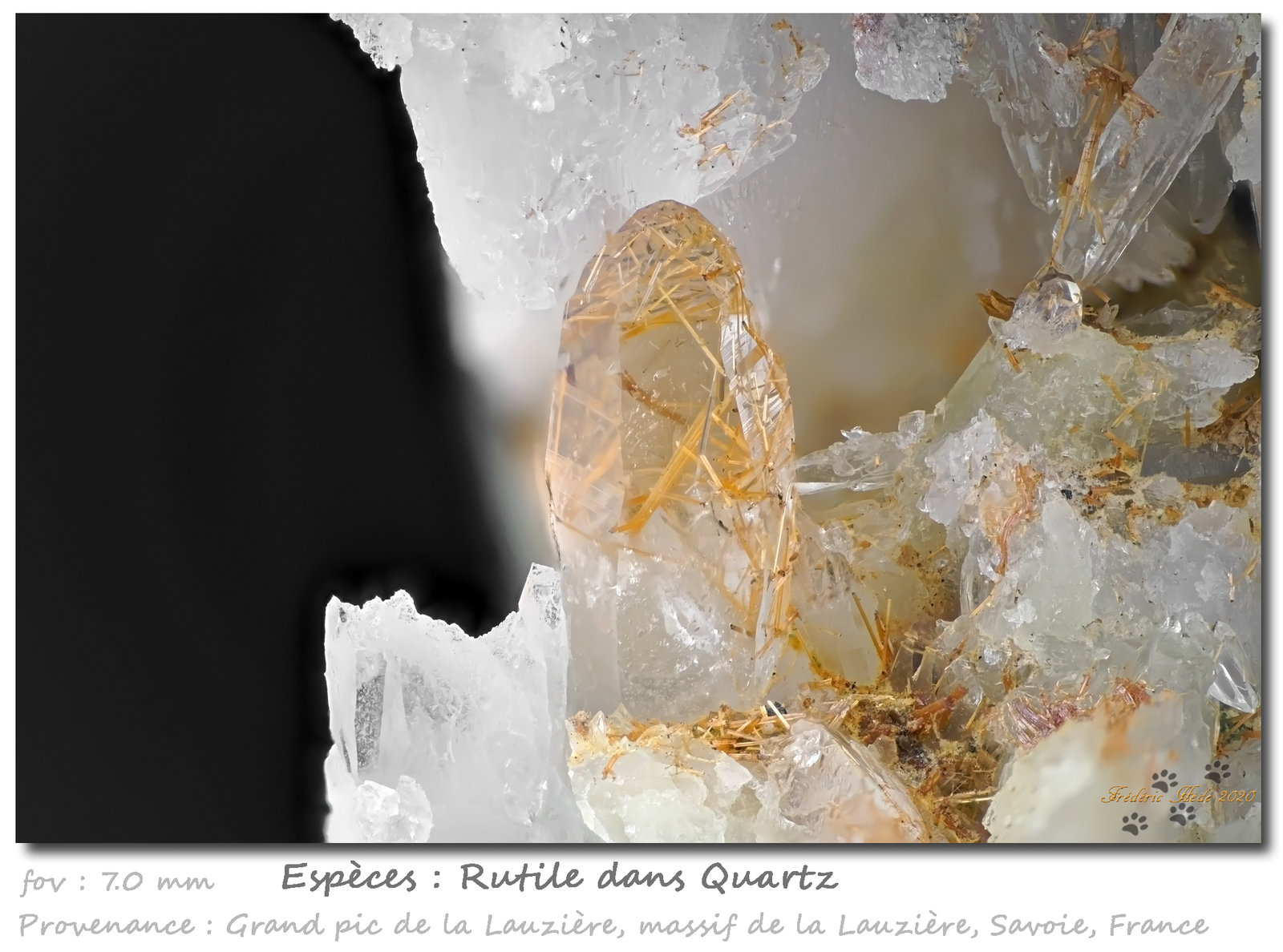 Rutile in quartz
fov 7.0 mm
(Autor: ploum)