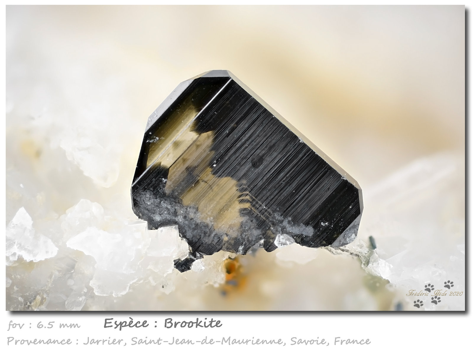 Brookite
6.5 mm
(Autor: ploum)