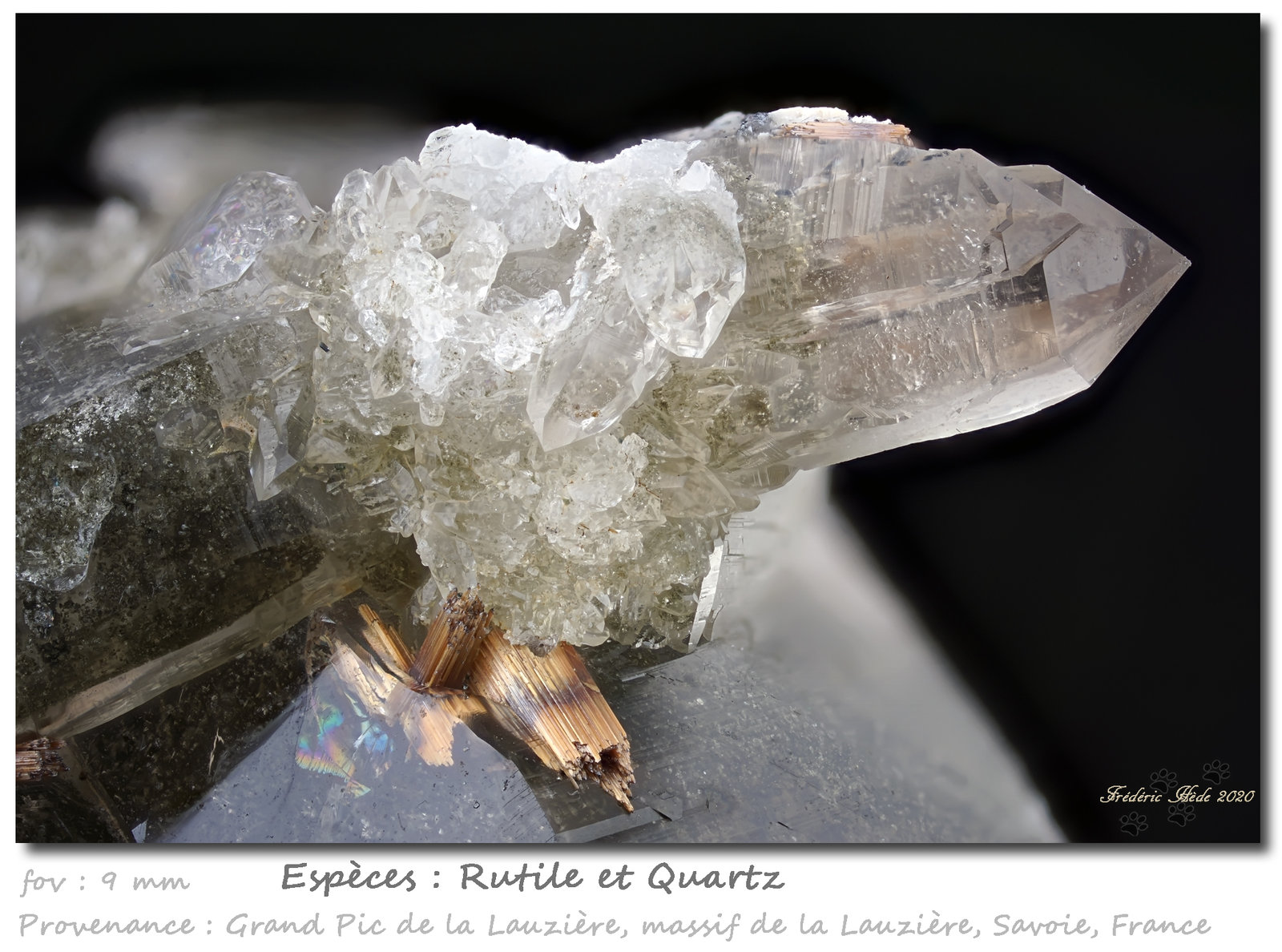 Rutile in/on Quartz
fov 9.0 mm
(Autor: ploum)