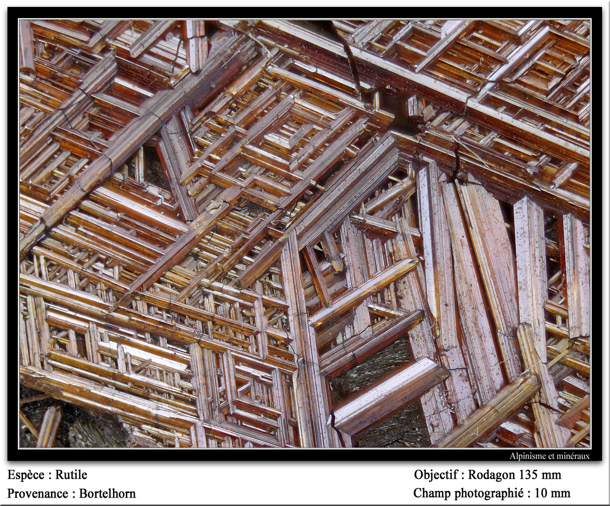 Rutile
fov 10 mm
(Autor: ploum)