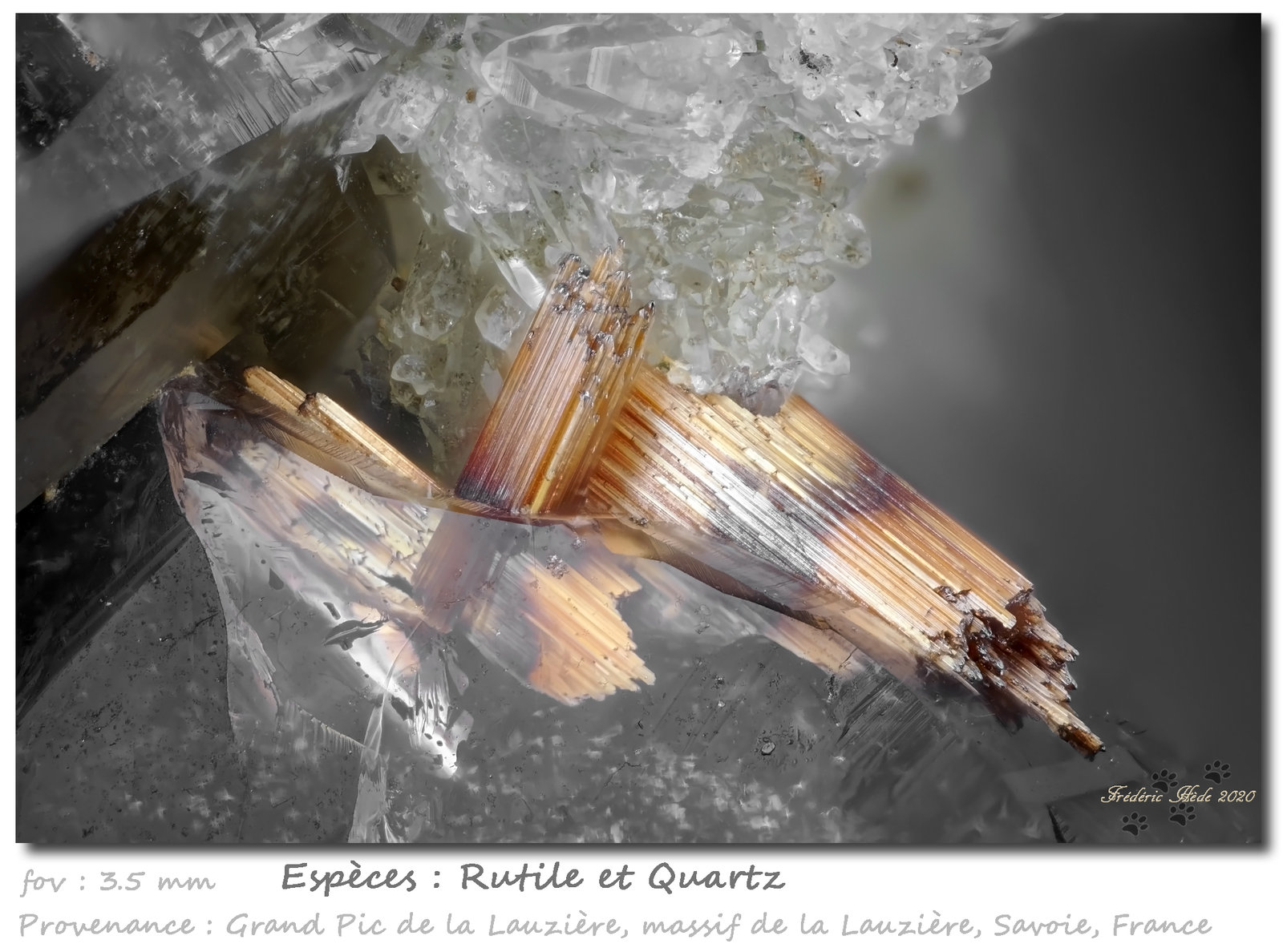 Rutile in/on Quartz
fov 3.5 mm
(Autor: ploum)