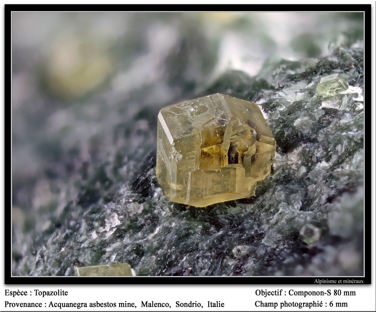 Andradite (var. topazolite)
fov 6 mm
(Autor: ploum)