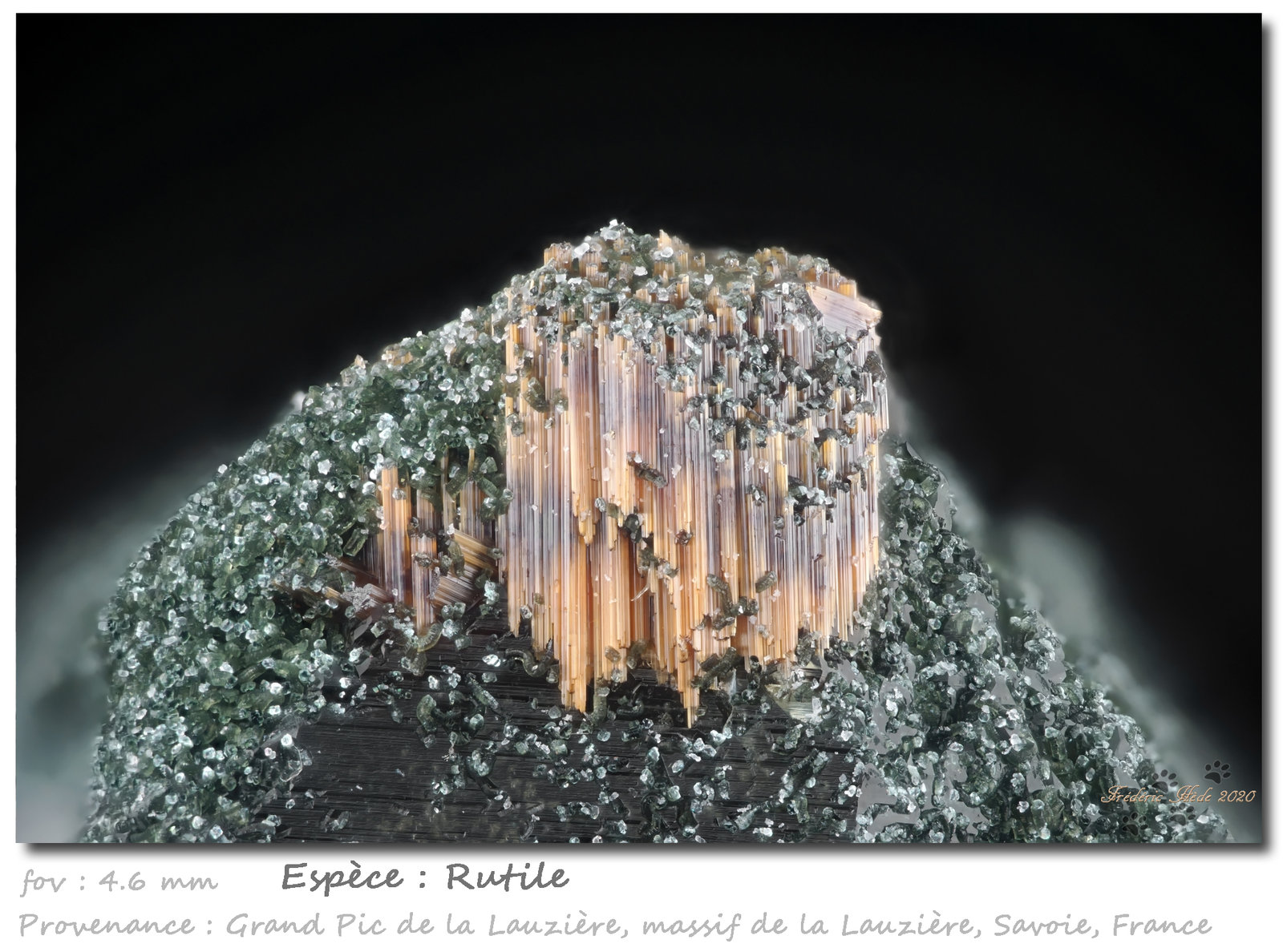 Rutile
fov 4.6 mm
(Autor: ploum)