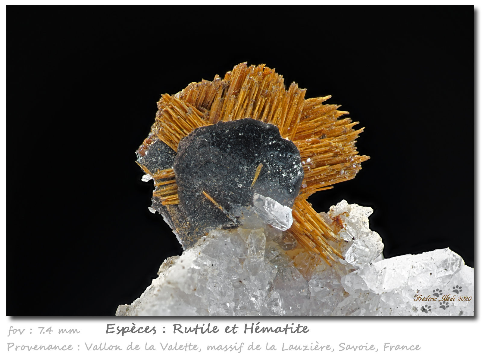 Rutile and Hematite
fov 7.4 mm
(Autor: ploum)