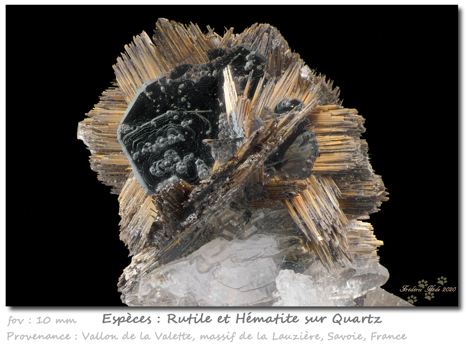 Rutile and Hematite
fov 10 mm
(Autor: ploum)