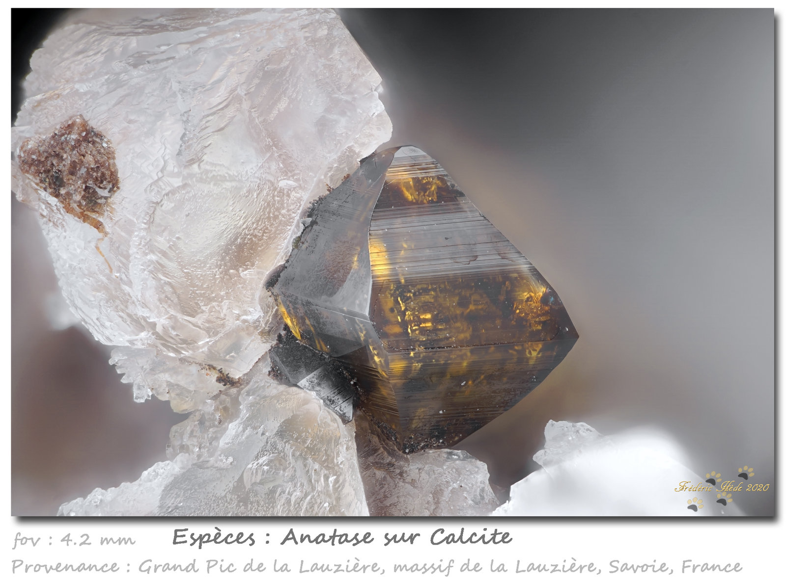 Anatase on Calcite
fov 4.2 mm
(Autor: ploum)