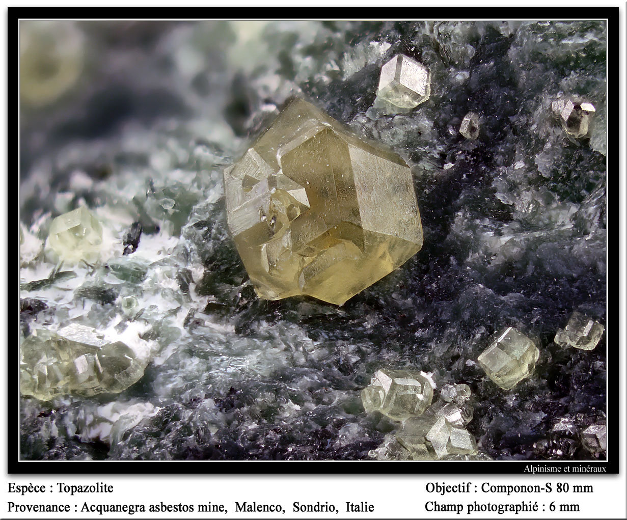 Andradite (var. topazolite)
fov 6 mm
(Autor: ploum)