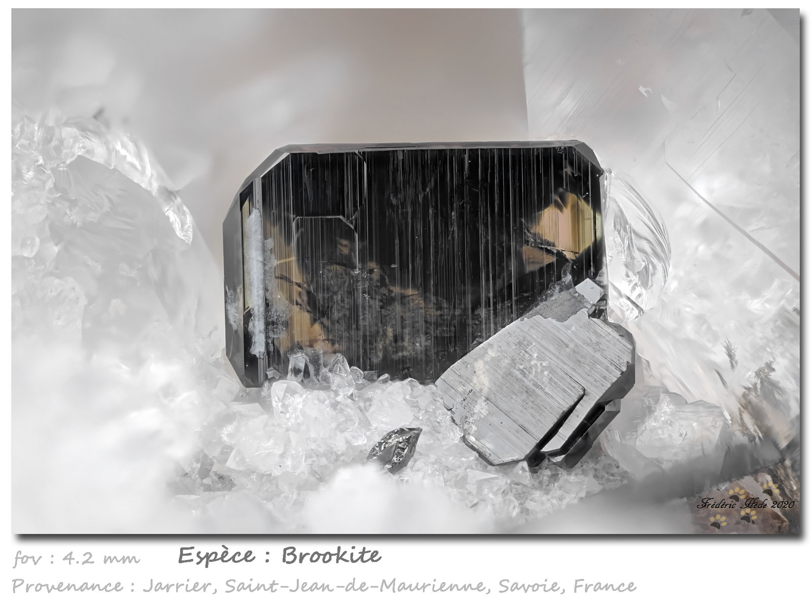 Brookite
fov 4.2 mm
(Autor: ploum)