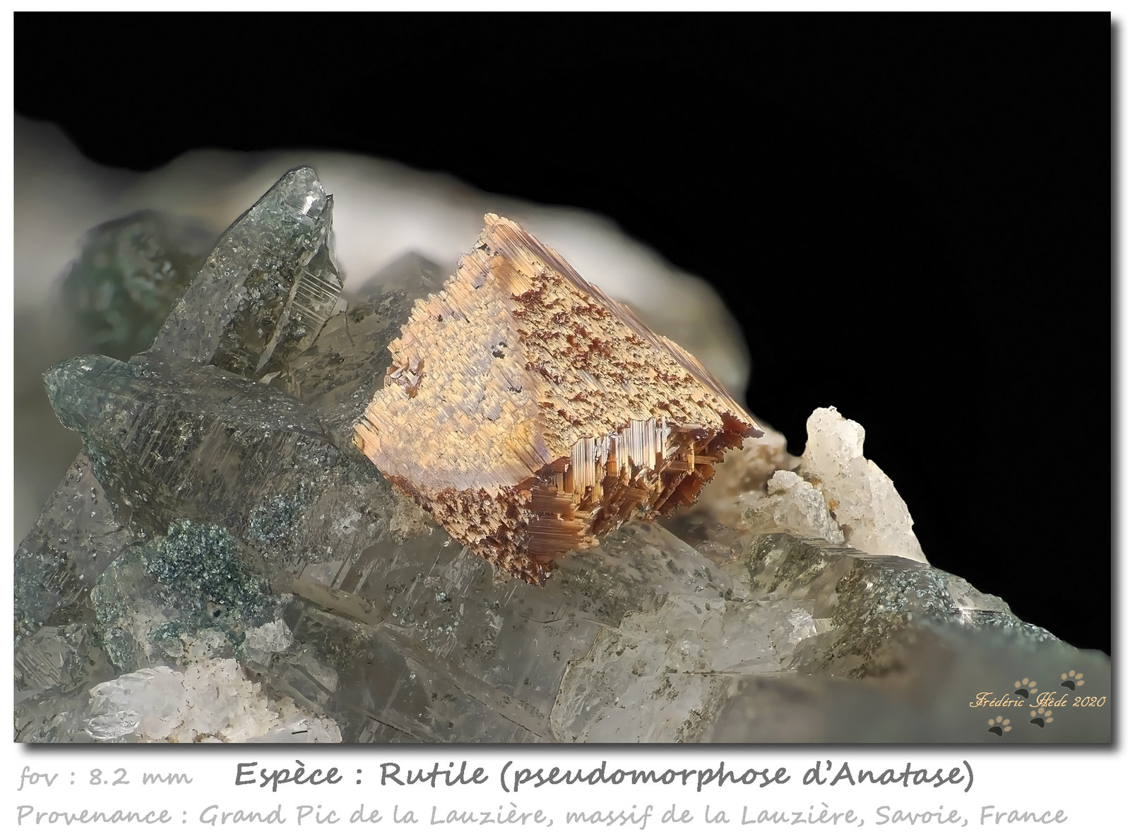 Rutile
fov 8.2 mm
(Autor: ploum)