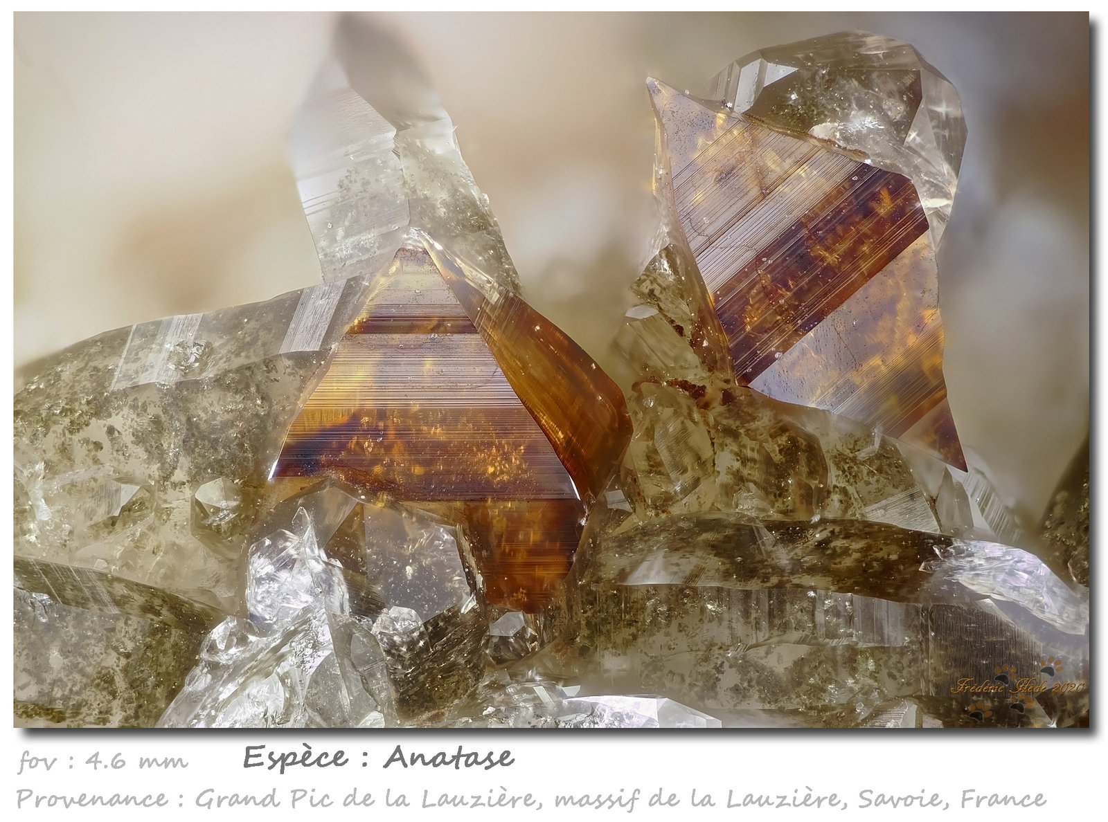Anatase
fov 4.6 mm
(Autor: ploum)
