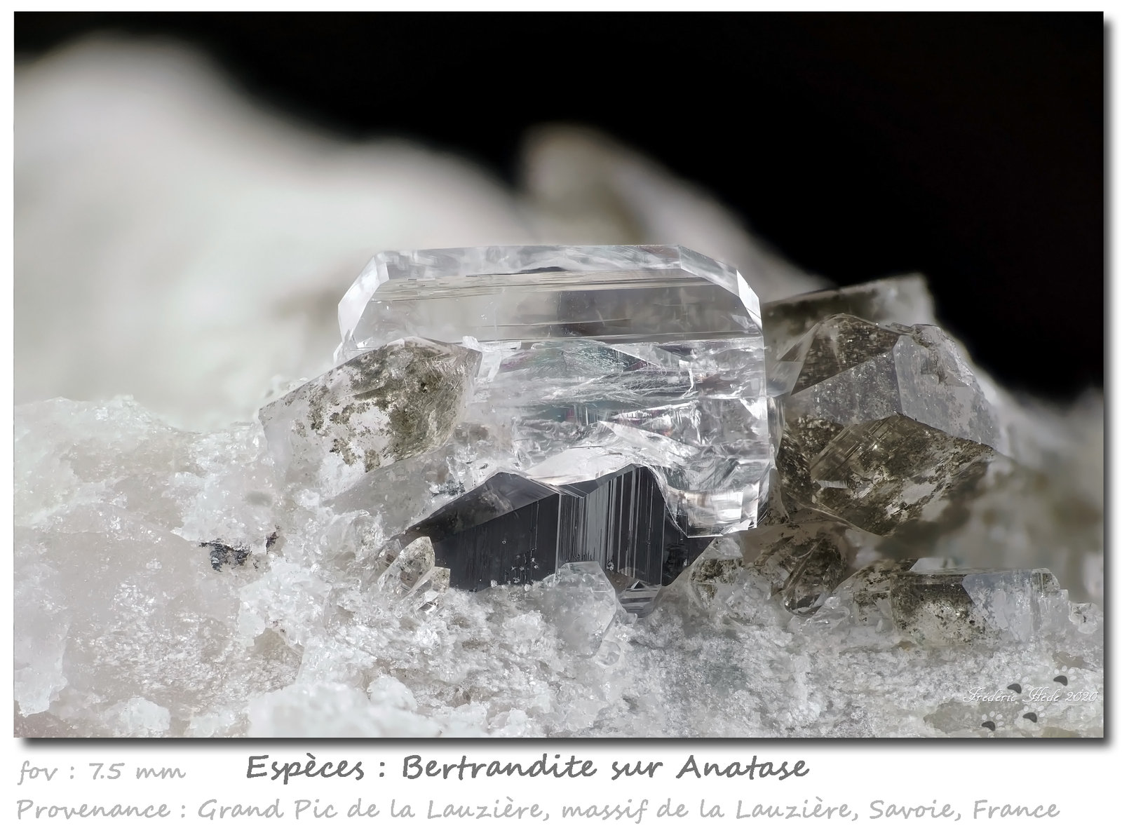 Bertrandite on Anatase
fov 7.5 mm
(Autor: ploum)