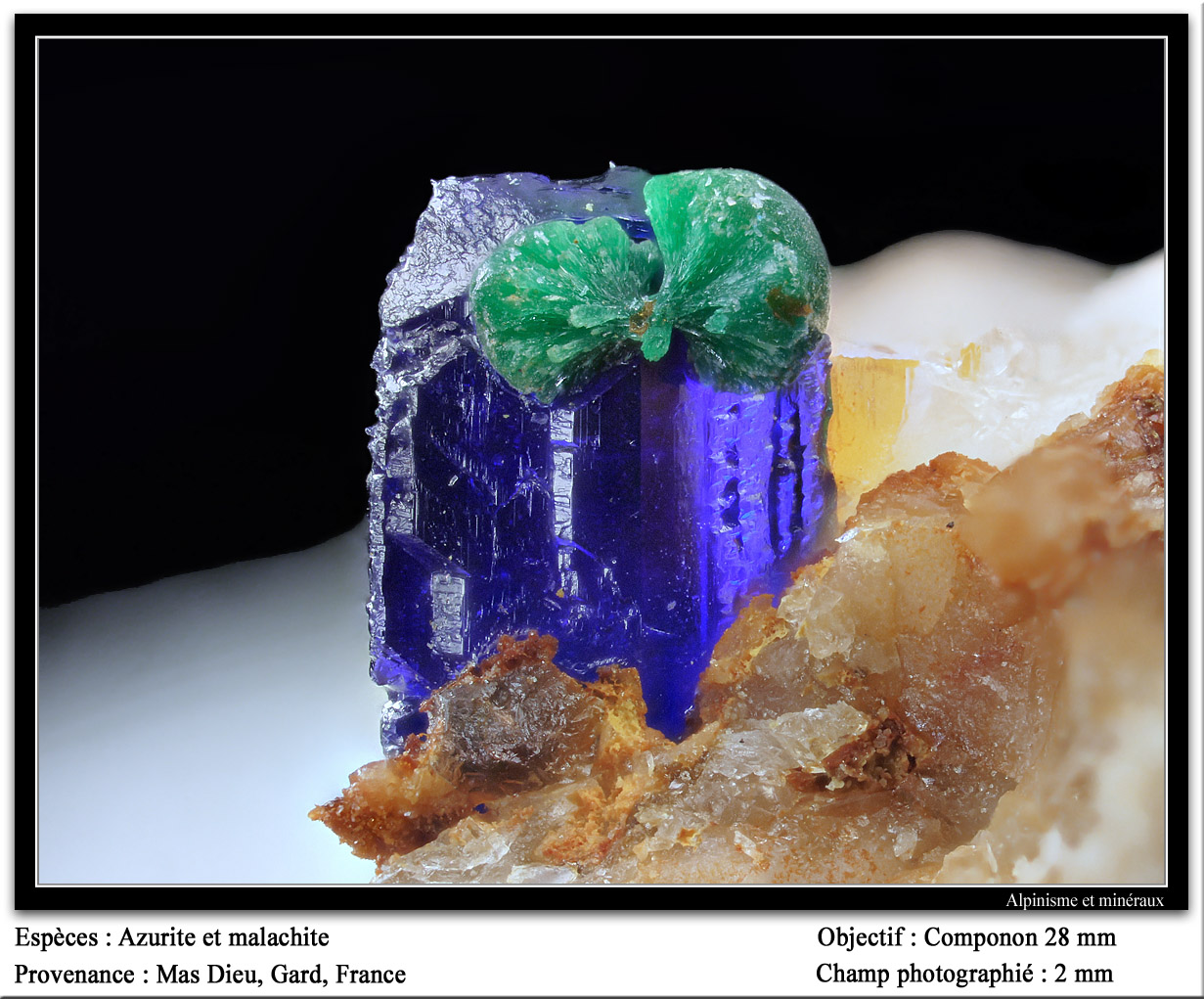 Azurite and malachite
fov 2 mm
(Autor: ploum)