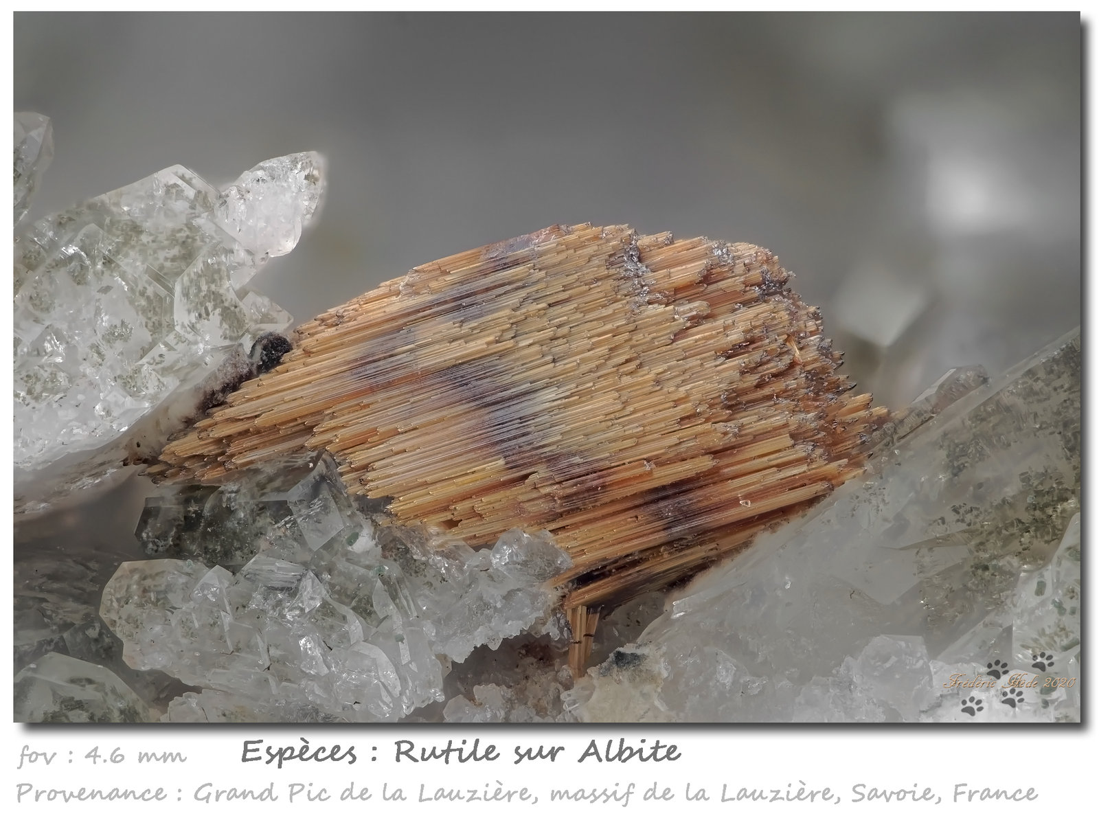 Rutile
fov 4.6 mm
(Autor: ploum)
