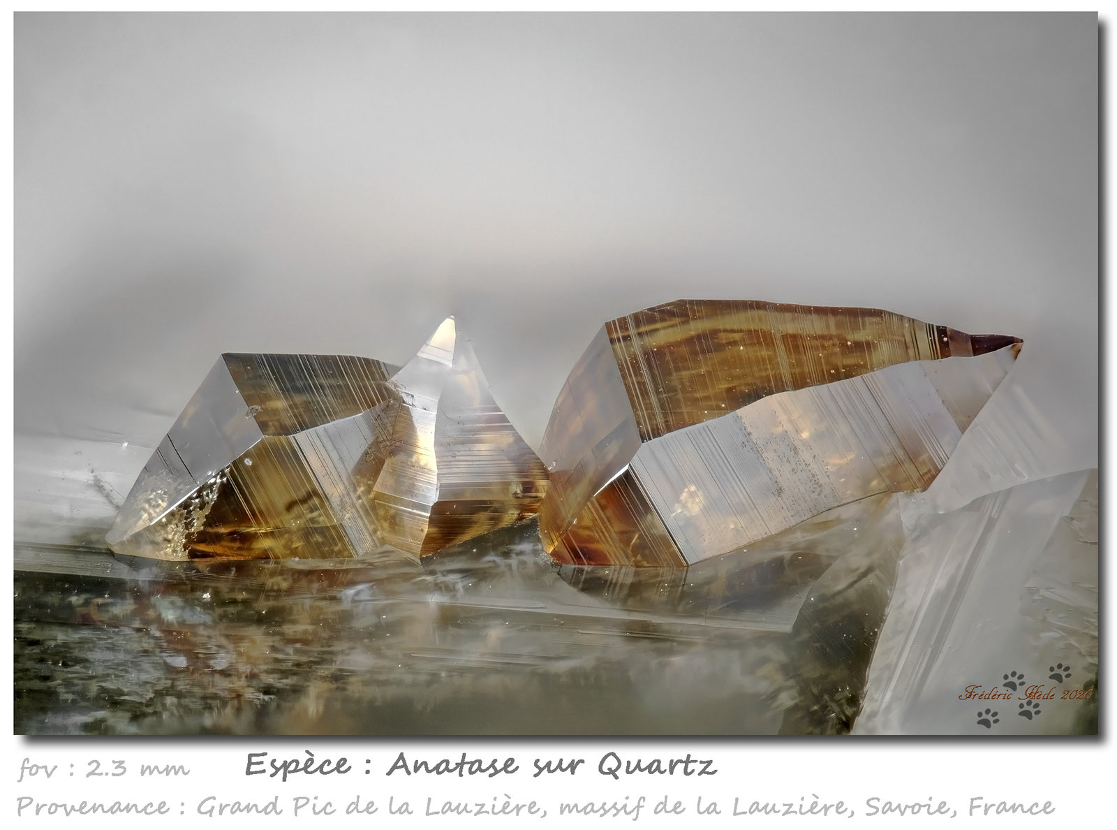 Anatase
fov 2.3 mm
(Autor: ploum)