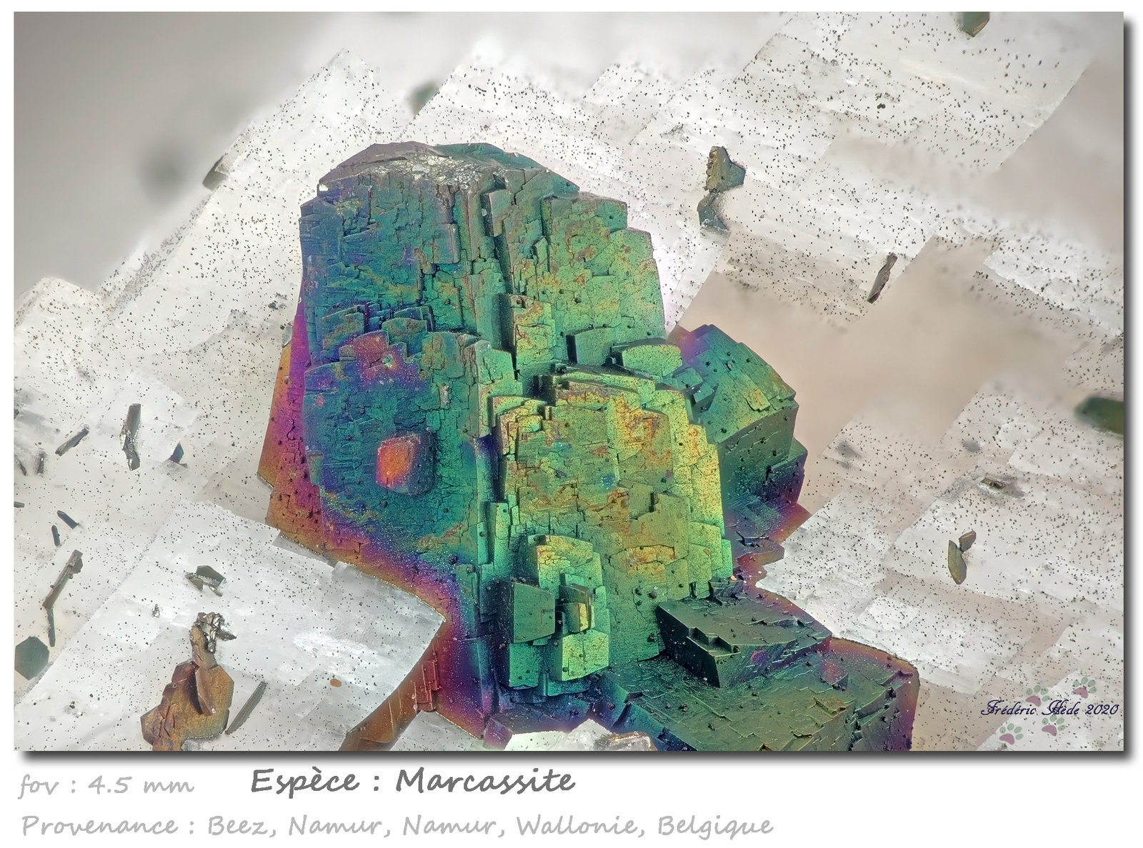 Marcasite and Dolomite
fov 4.5 mm
(Autor: ploum)