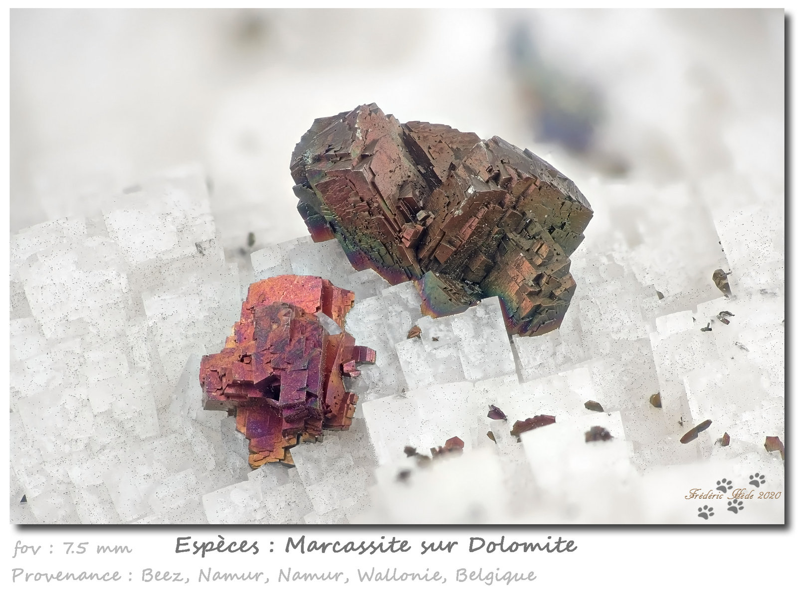 Marcasite and Dolomite
fov 7.5 mm
(Autor: ploum)