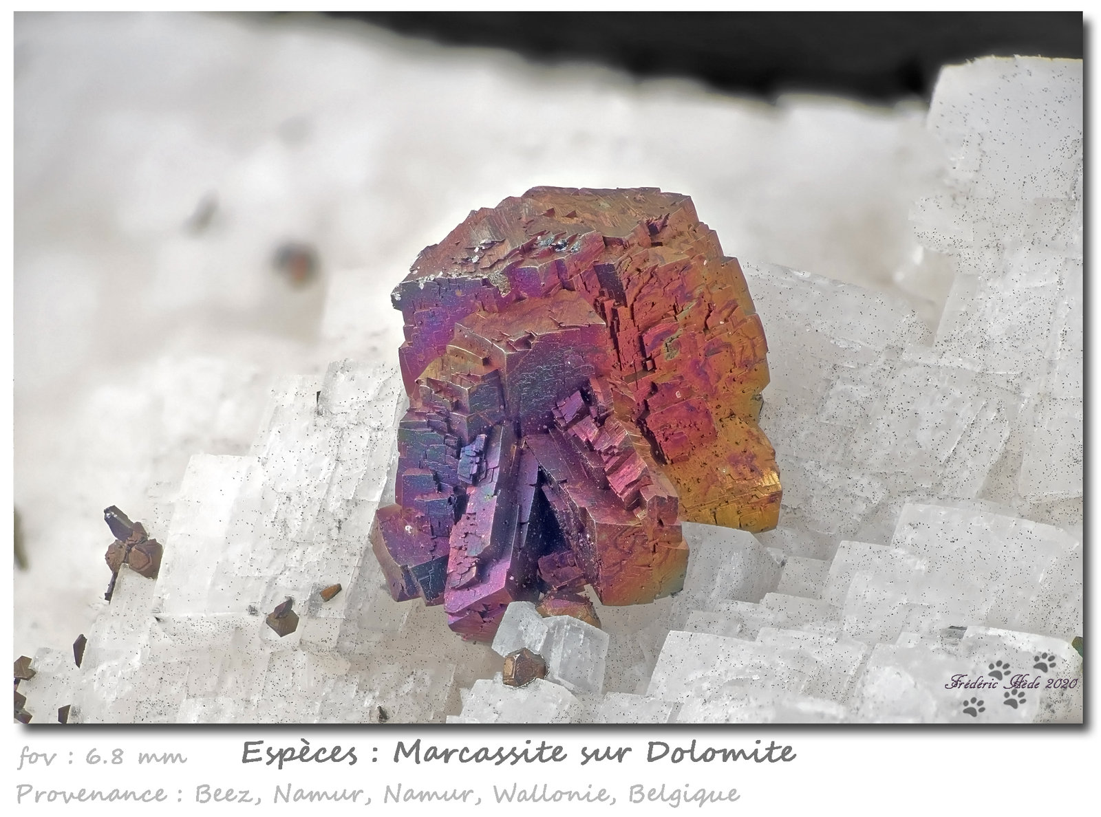 Marcasite and Dolomite
fov 6.8 mm
(Autor: ploum)
