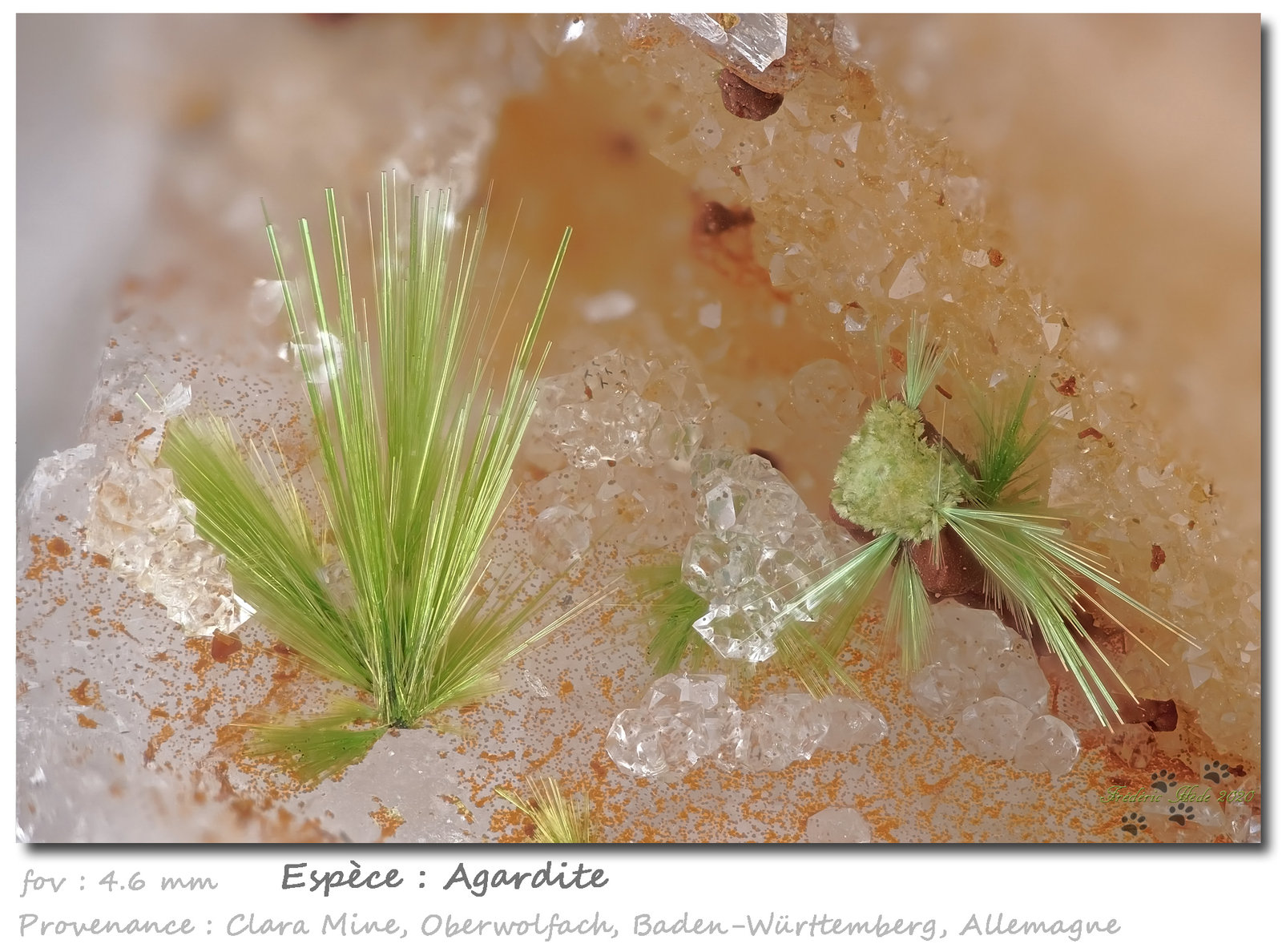 Agardite
fov 4.6 mm
(Autor: ploum)