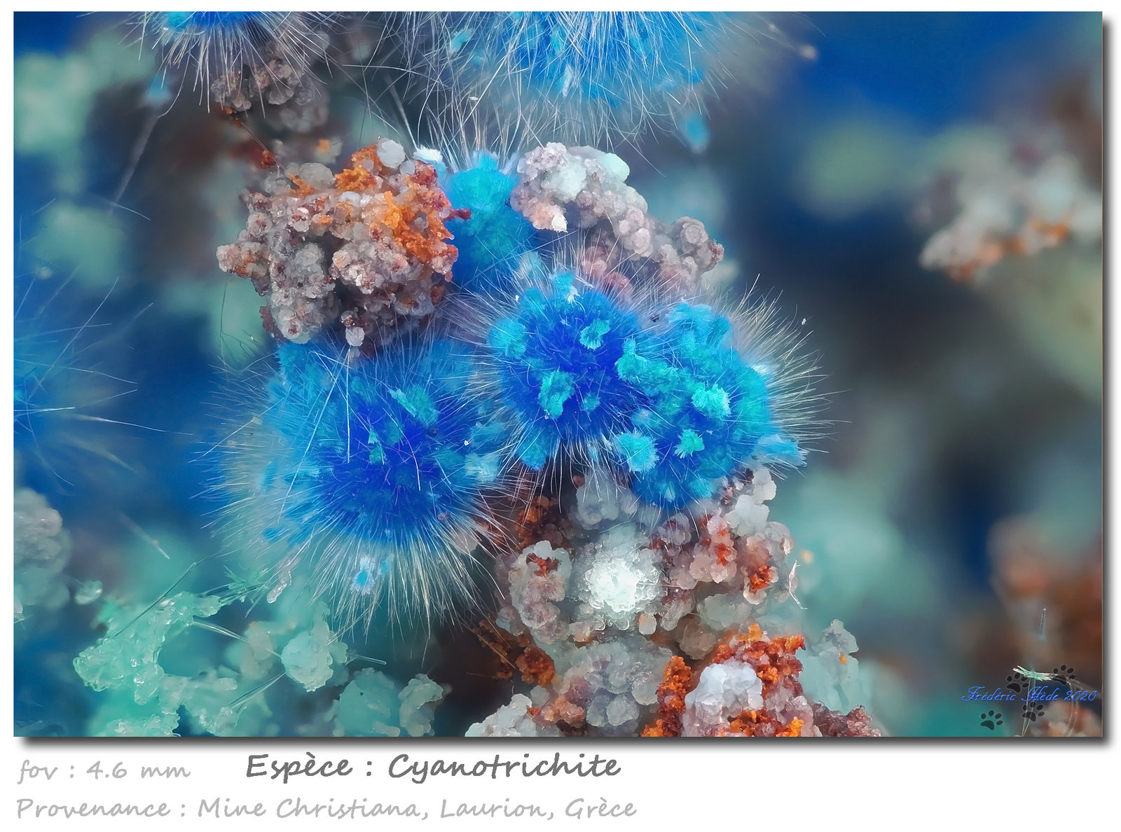 Cyanotrichite
fov 4.6 mm
(Autor: ploum)