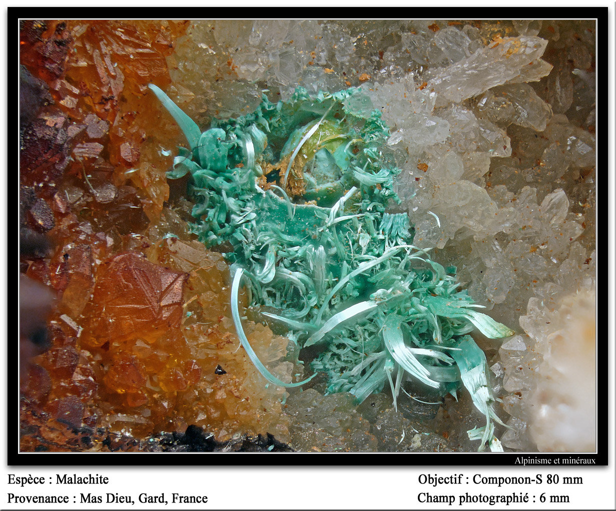Malachite
fov 6 mm
(Autor: ploum)