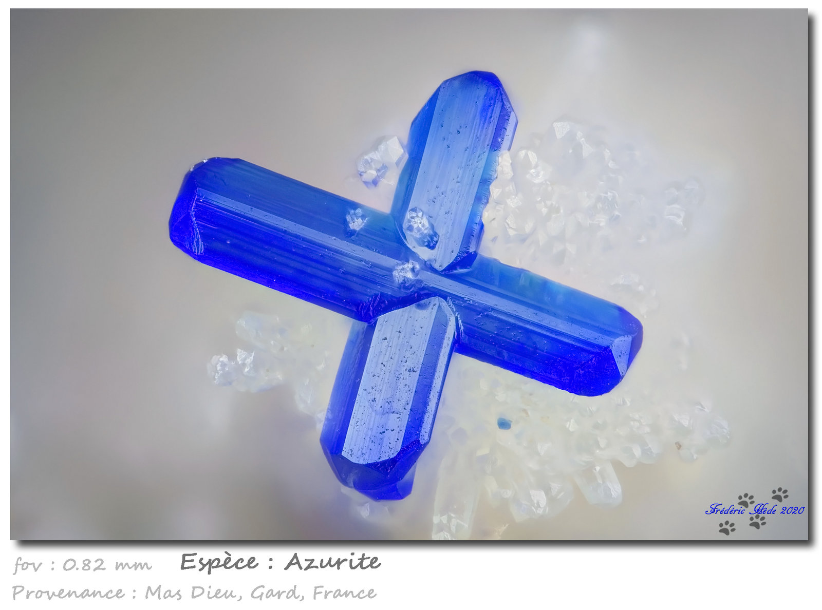 Azurite
fov 0.82 mm
(Autor: ploum)