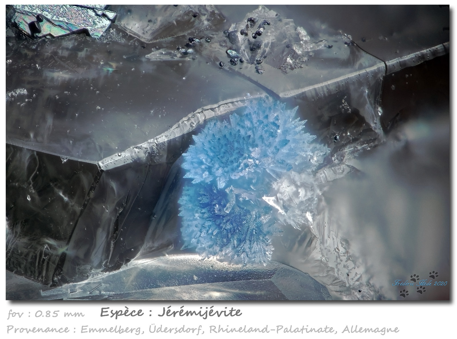 Jeremejevite
fov 0.85 mm
(Autor: ploum)