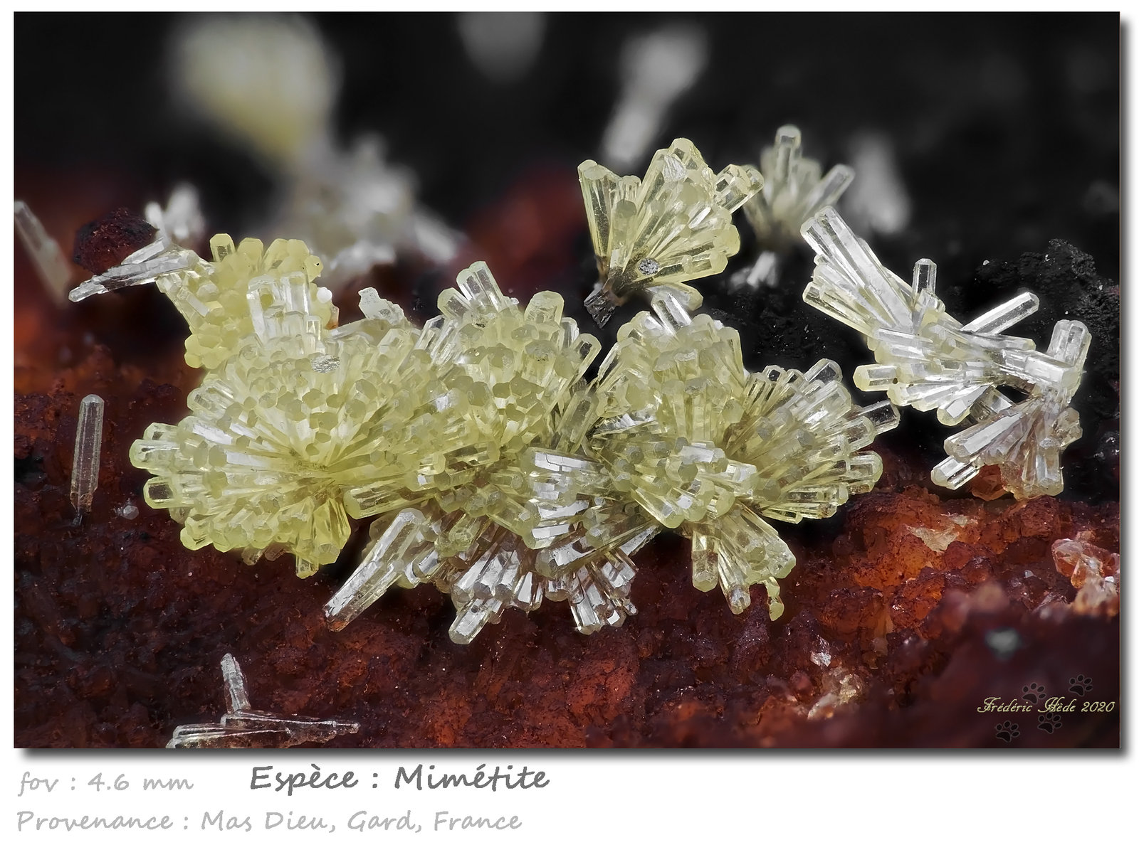 Mimetite
fov 4.6 mm
(Autor: ploum)