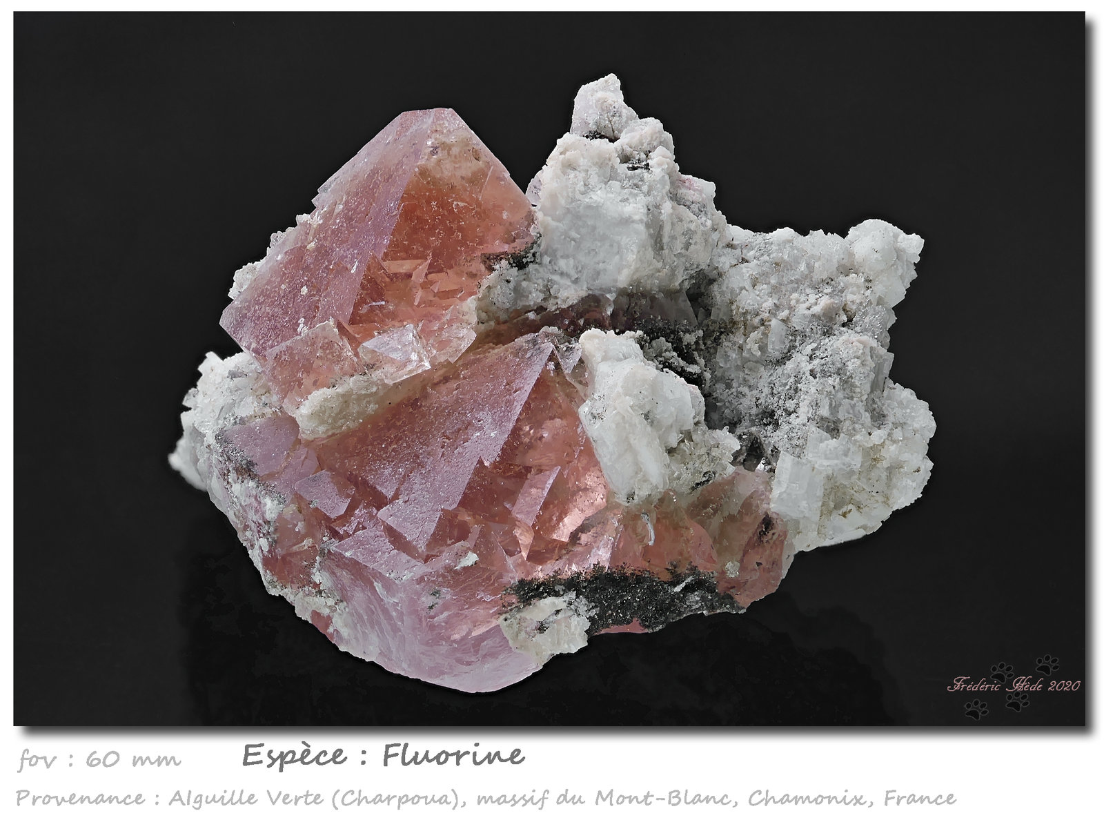 Fluorite
fov 60 mm
(Autor: ploum)