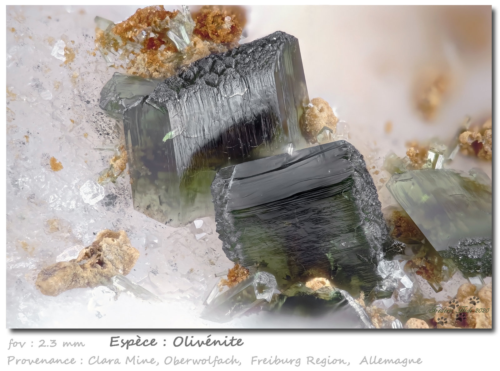 Olivenite
fov 2.3 mm
(Autor: ploum)