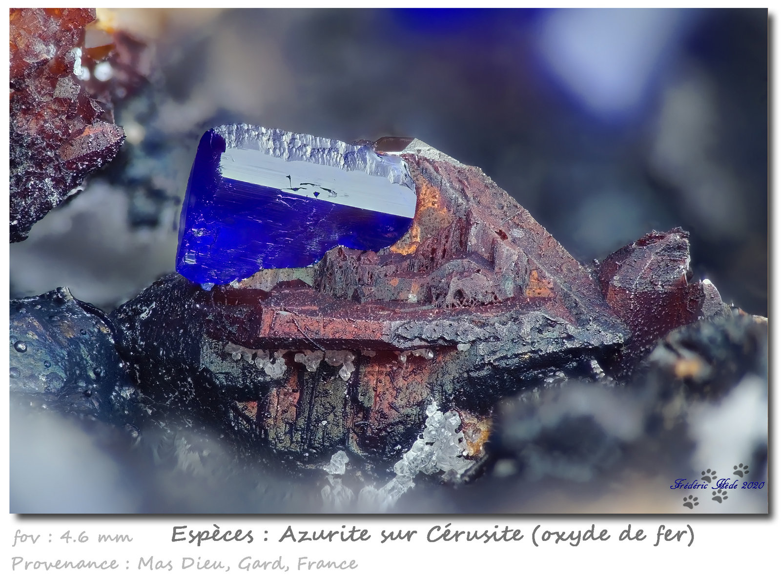 Azurite on Cerusite
fov 4.6 mm
(Autor: ploum)
