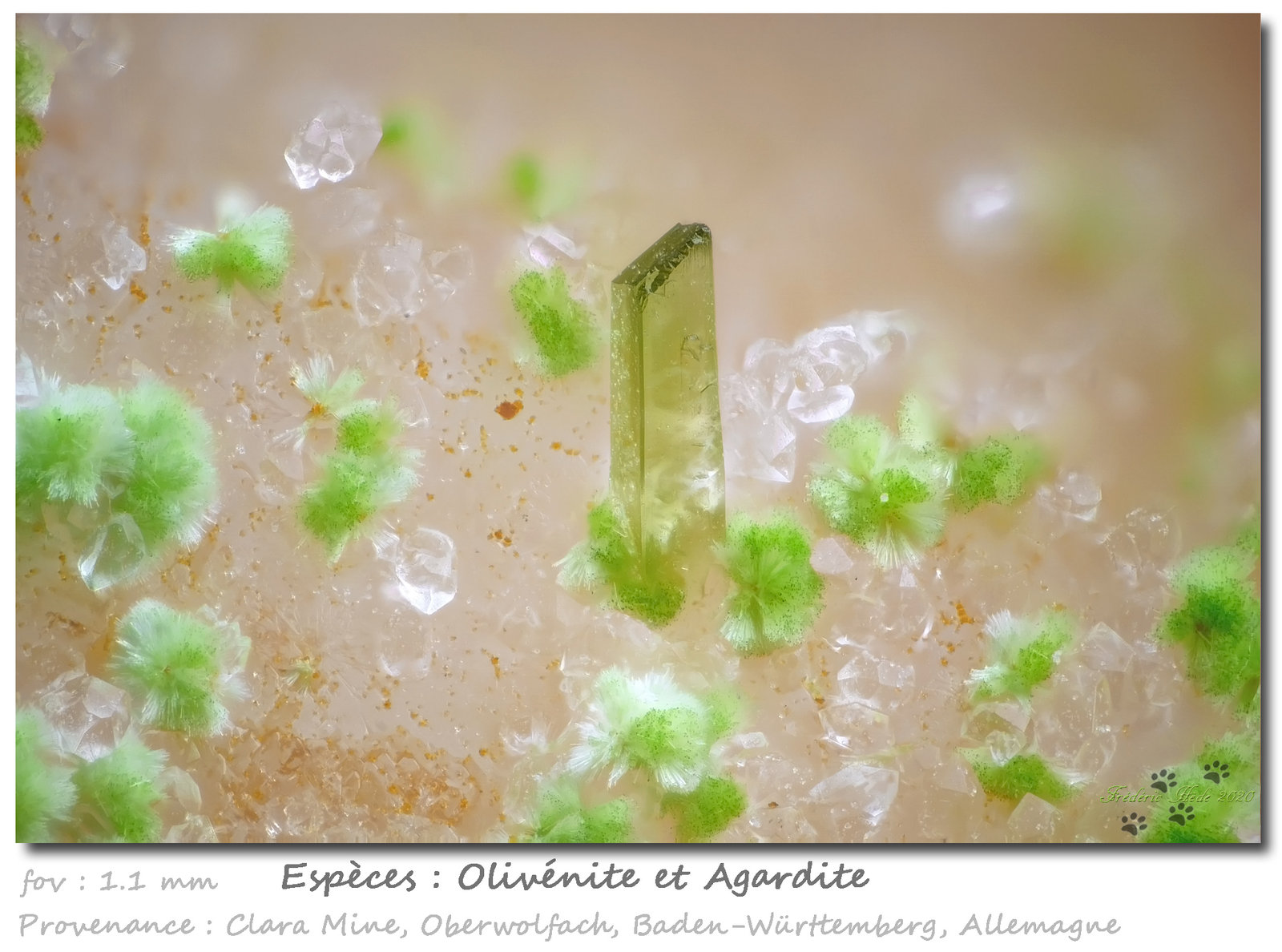 Olivenite and Agardite
fov 1.1 mm
(Autor: ploum)