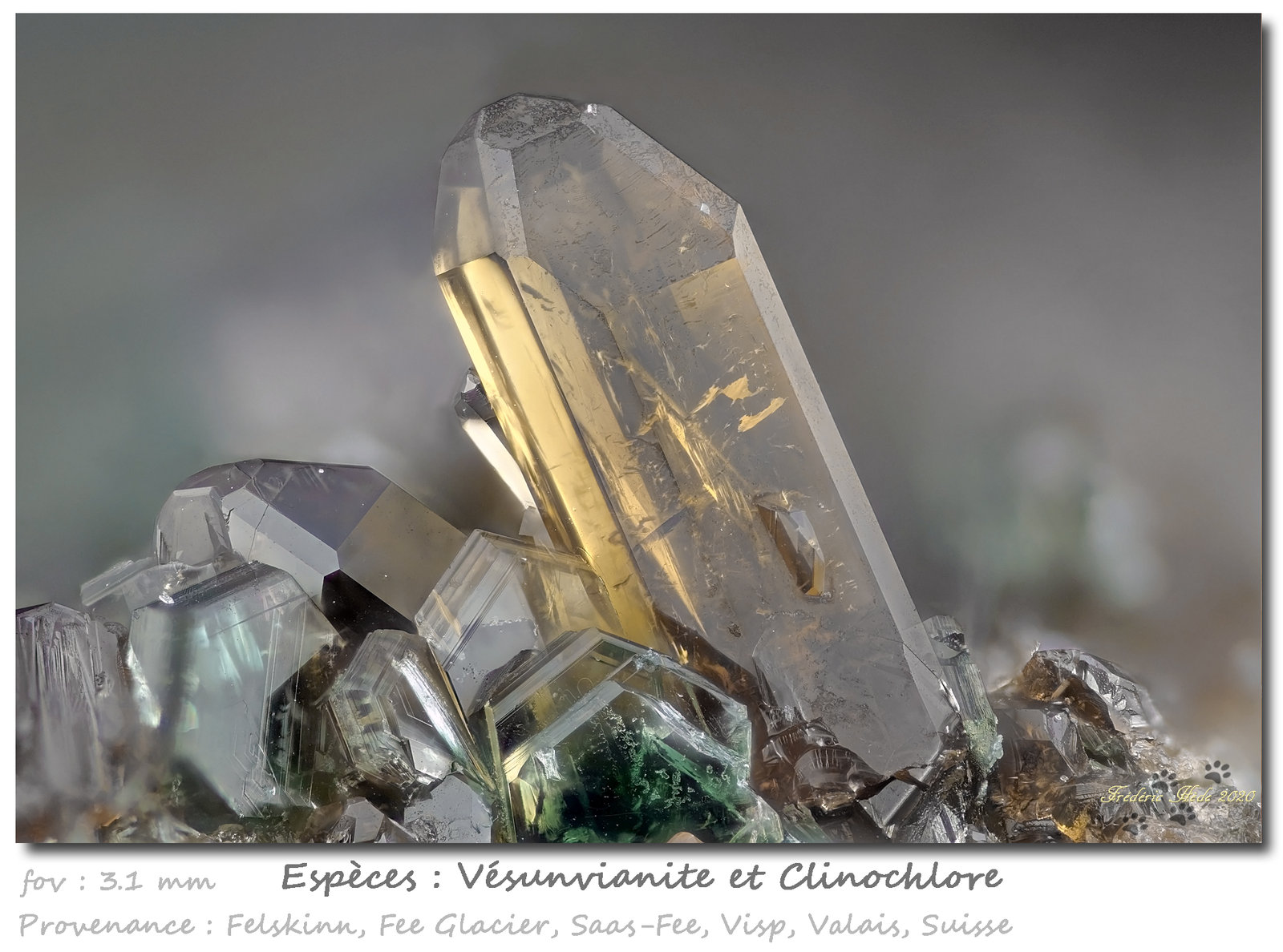 Vesuvianite and Clinochlore
fov 3.1 mm
(Autor: ploum)