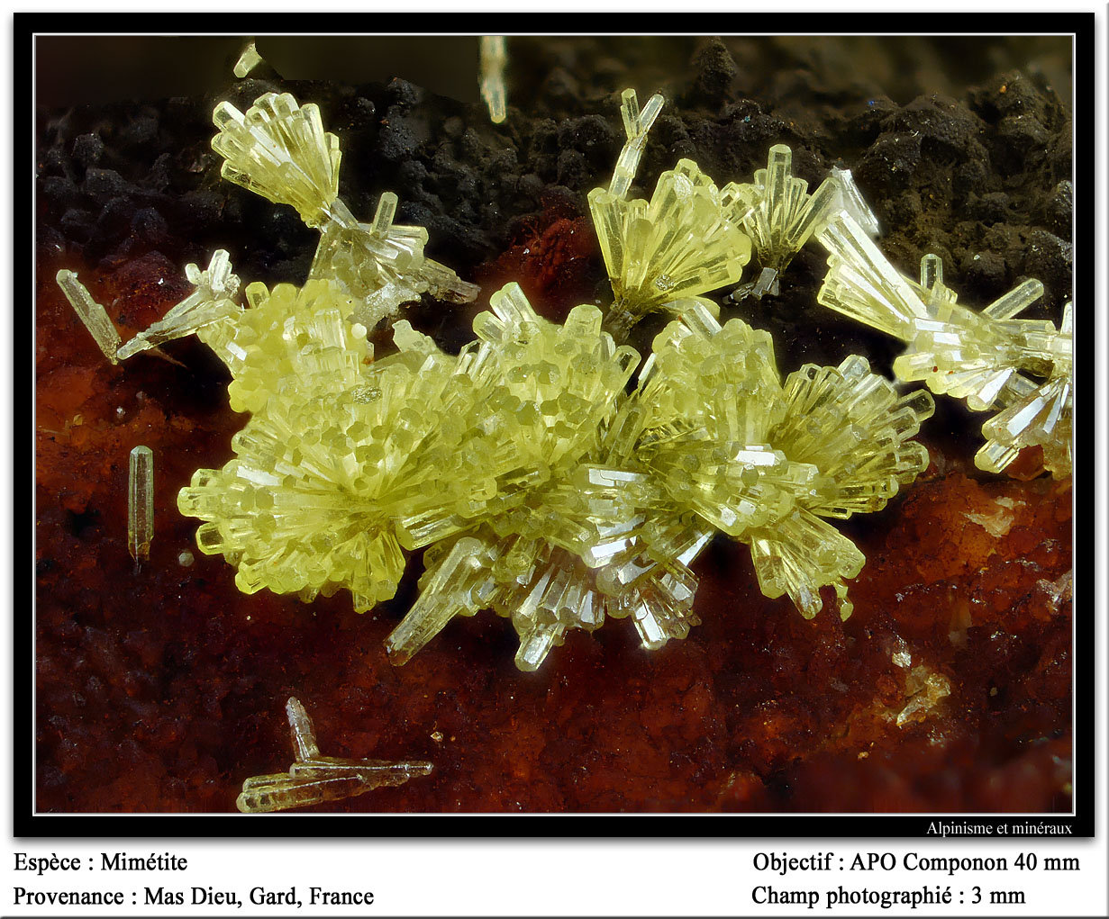 Mimetite
fov 3 mm
(Autor: ploum)