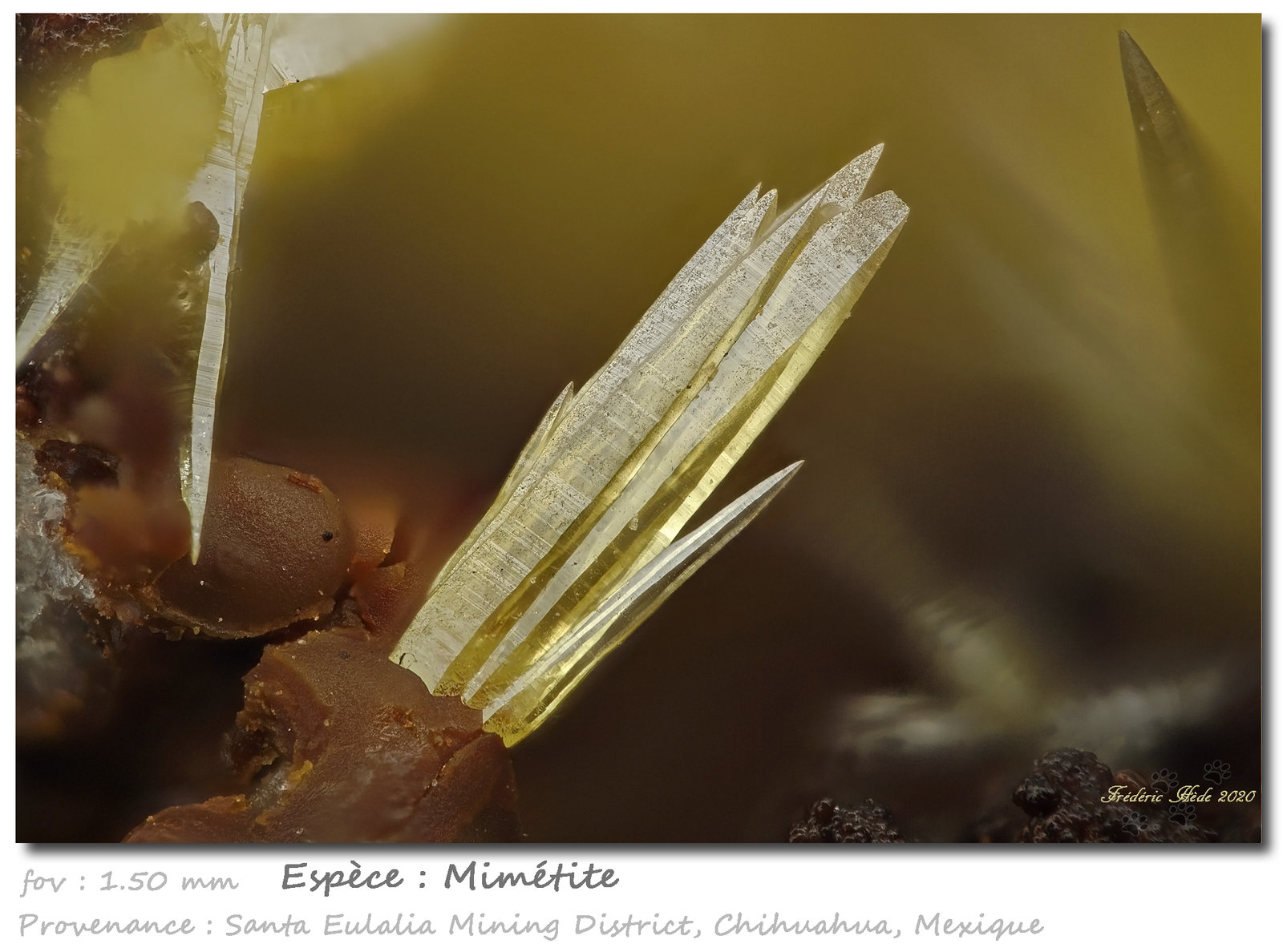 Mimetite
fov 1.5 mm
(Autor: ploum)