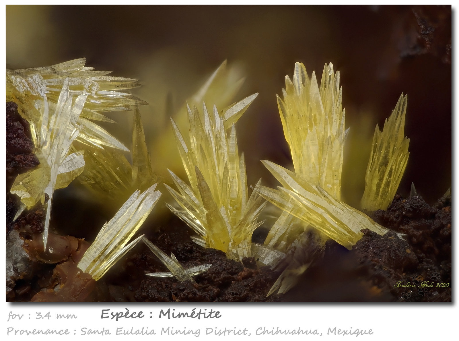 Mimetite
fov 3.4 mm
(Autor: ploum)