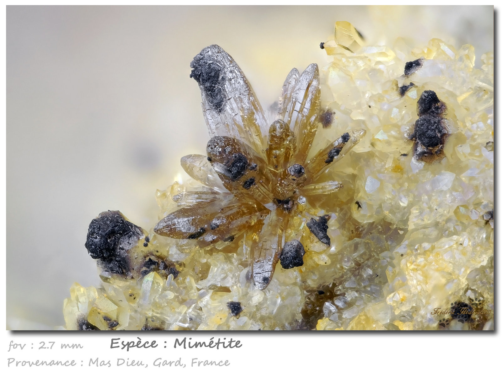 Mimetite
fov 2.7 mm
(Autor: ploum)