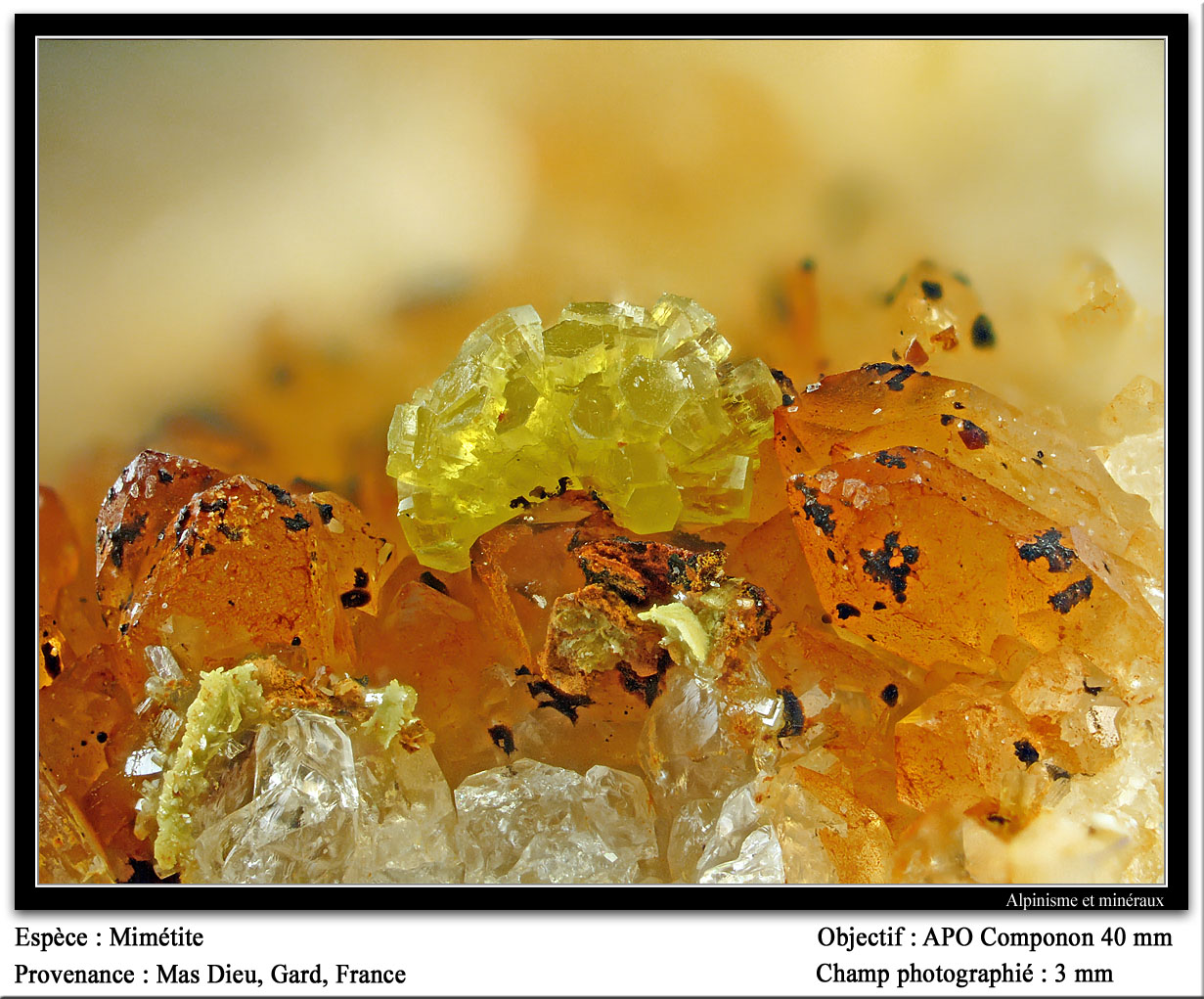 Mimetite
fov 3 mm
(Autor: ploum)