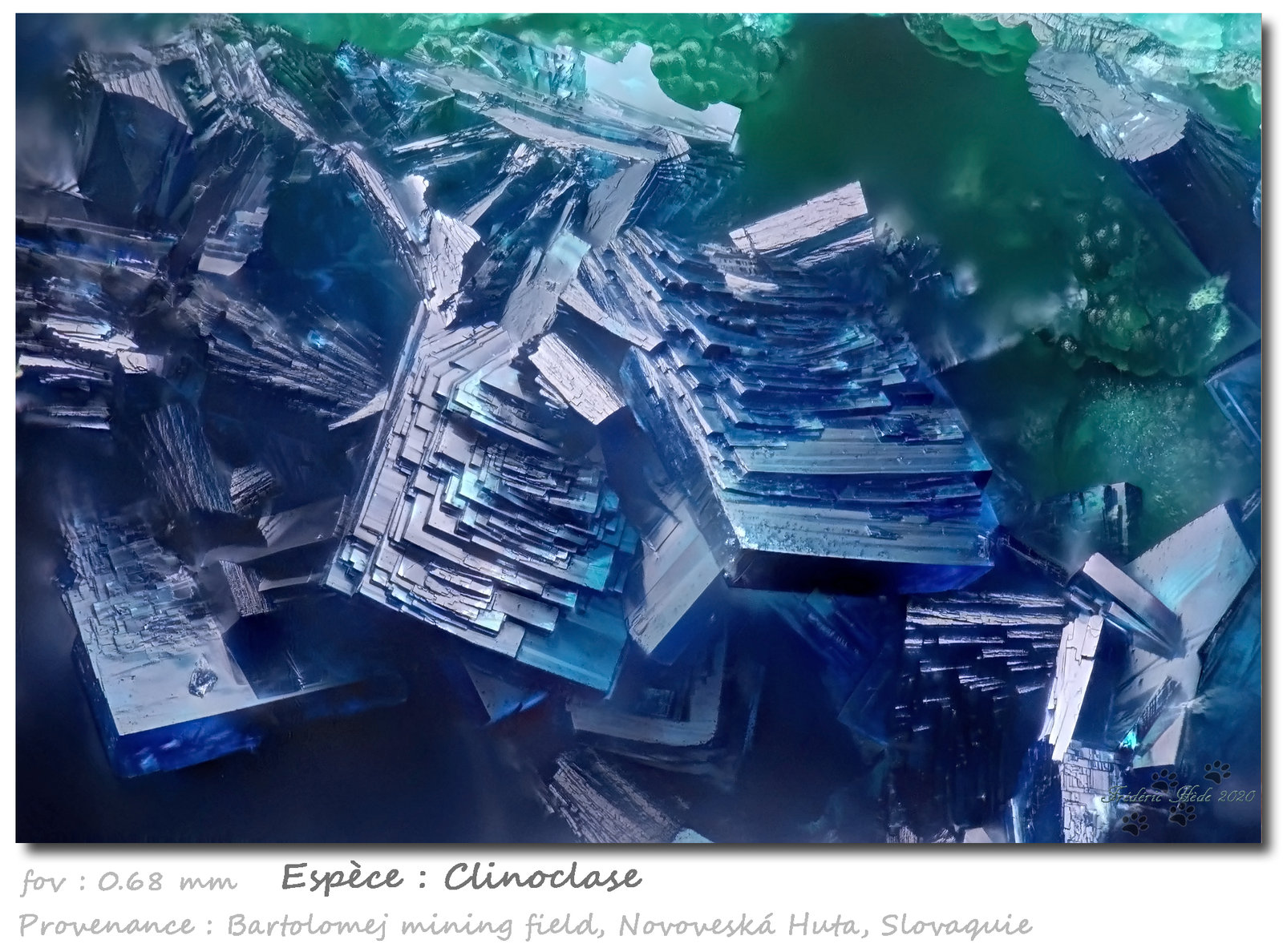 Clinoclase
fov 0.68 mm
(Autor: ploum)