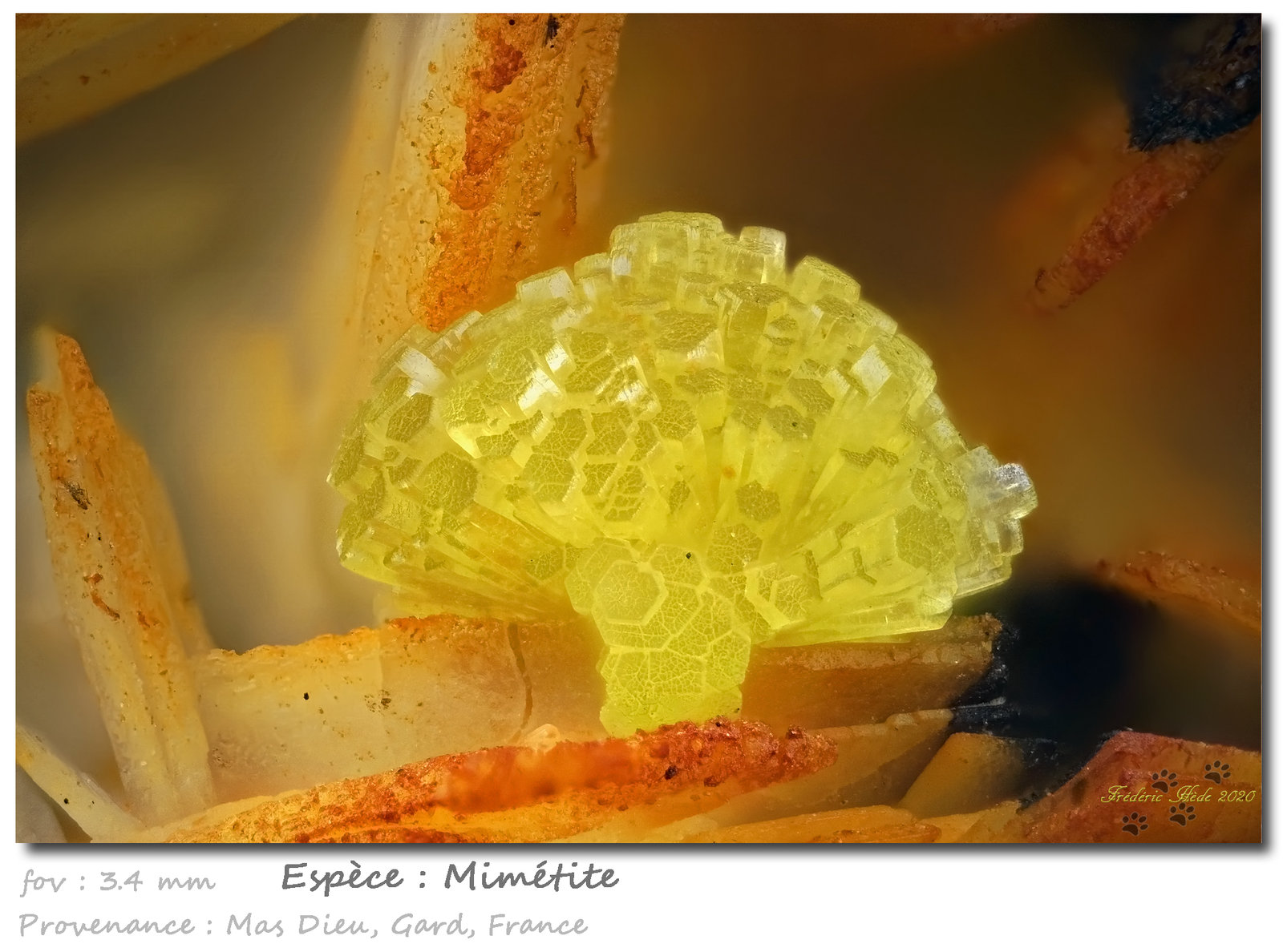 Mimetite
fov 3.4 mm
(Autor: ploum)