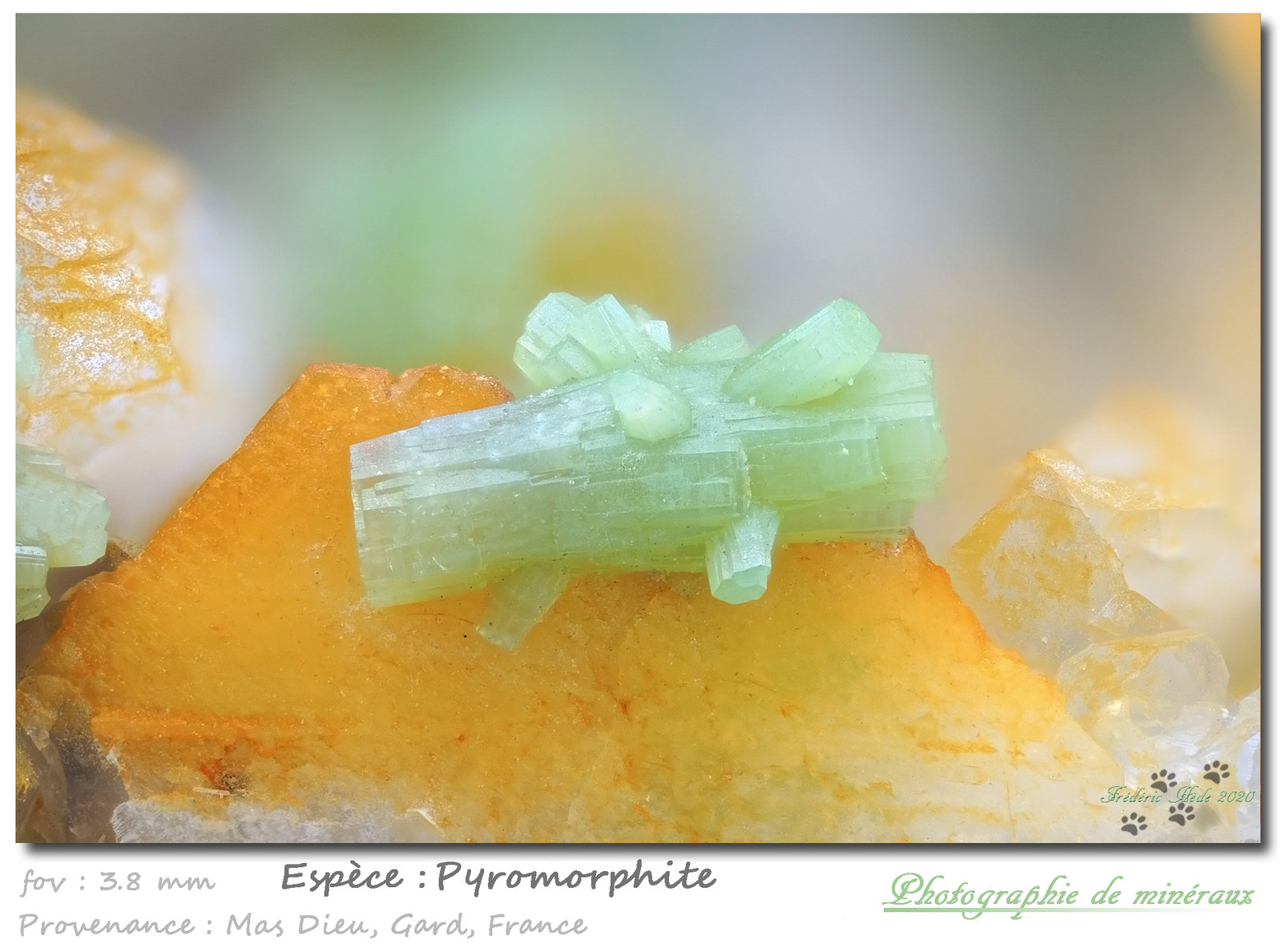 Pyromorphite
3.8 mm
(Autor: ploum)