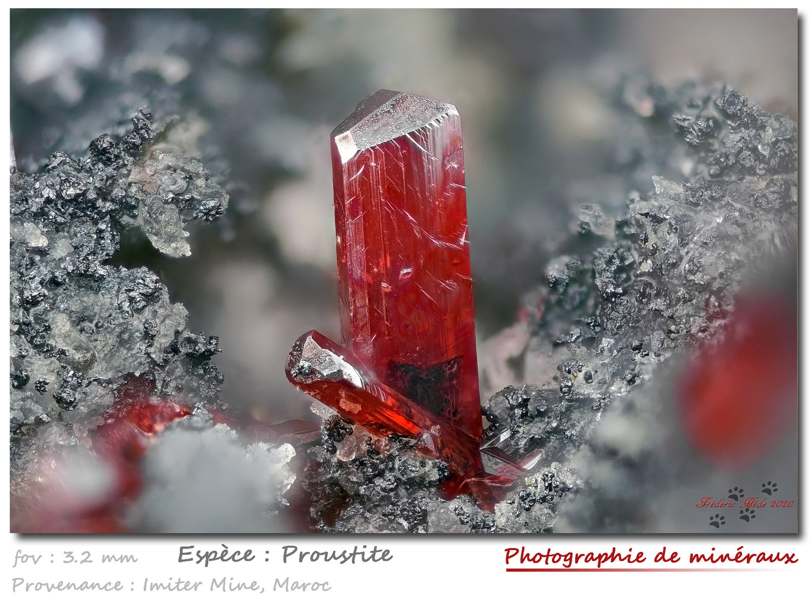 Proustite
fov 3.2 mm
(Autor: ploum)
