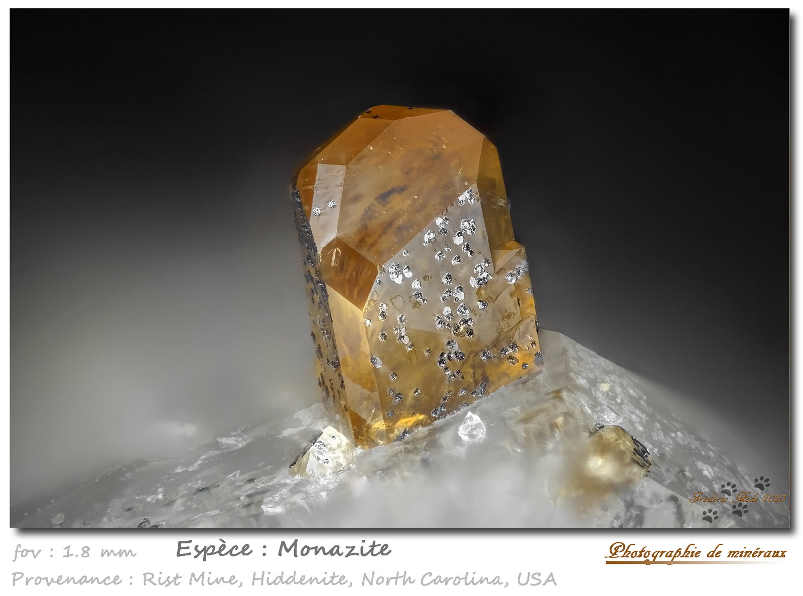 Monazite-(Ce)
fov 1.8 mm
(Autor: ploum)