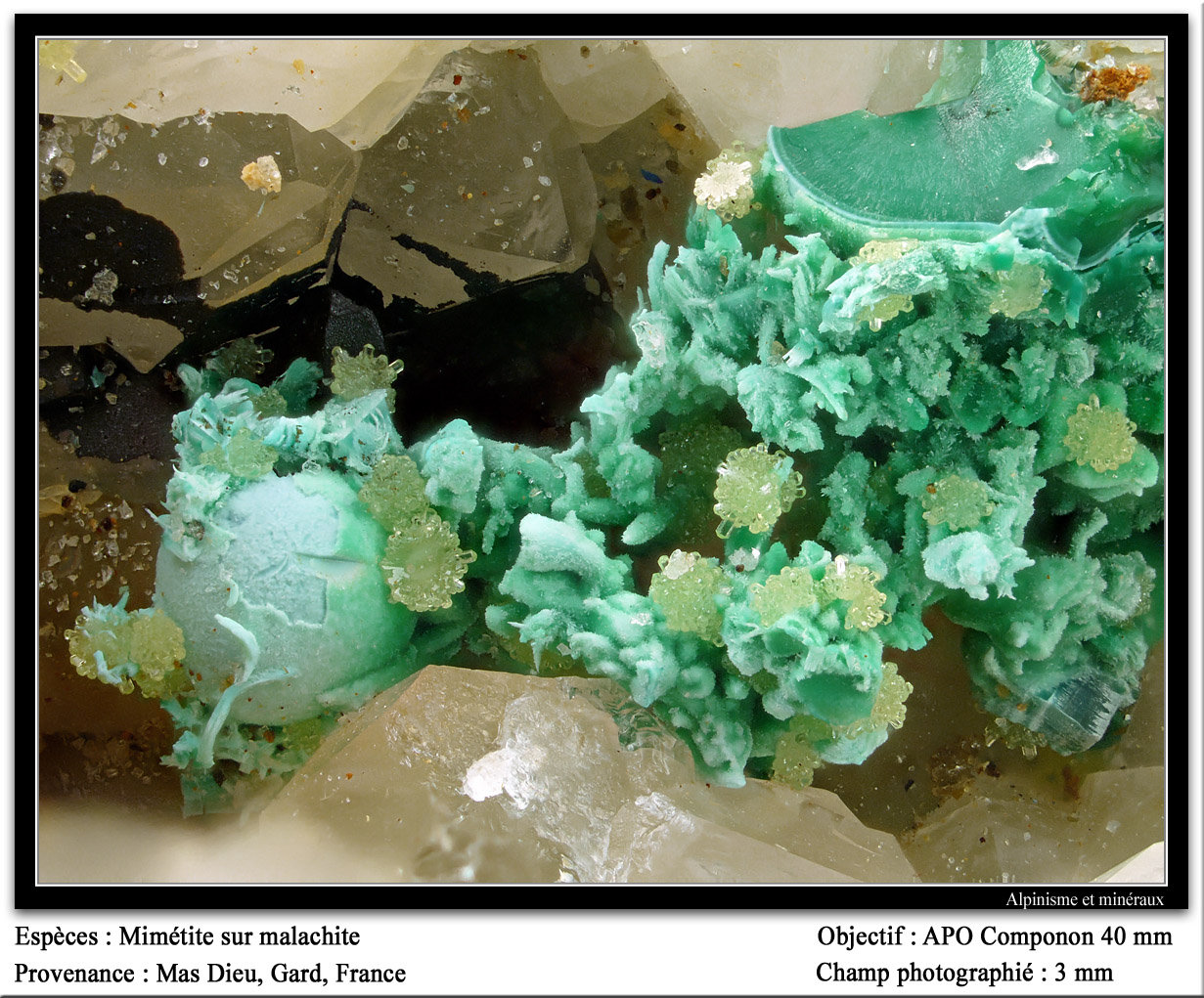 Mimetite on Malachite
fov 3 mm
(Autor: ploum)