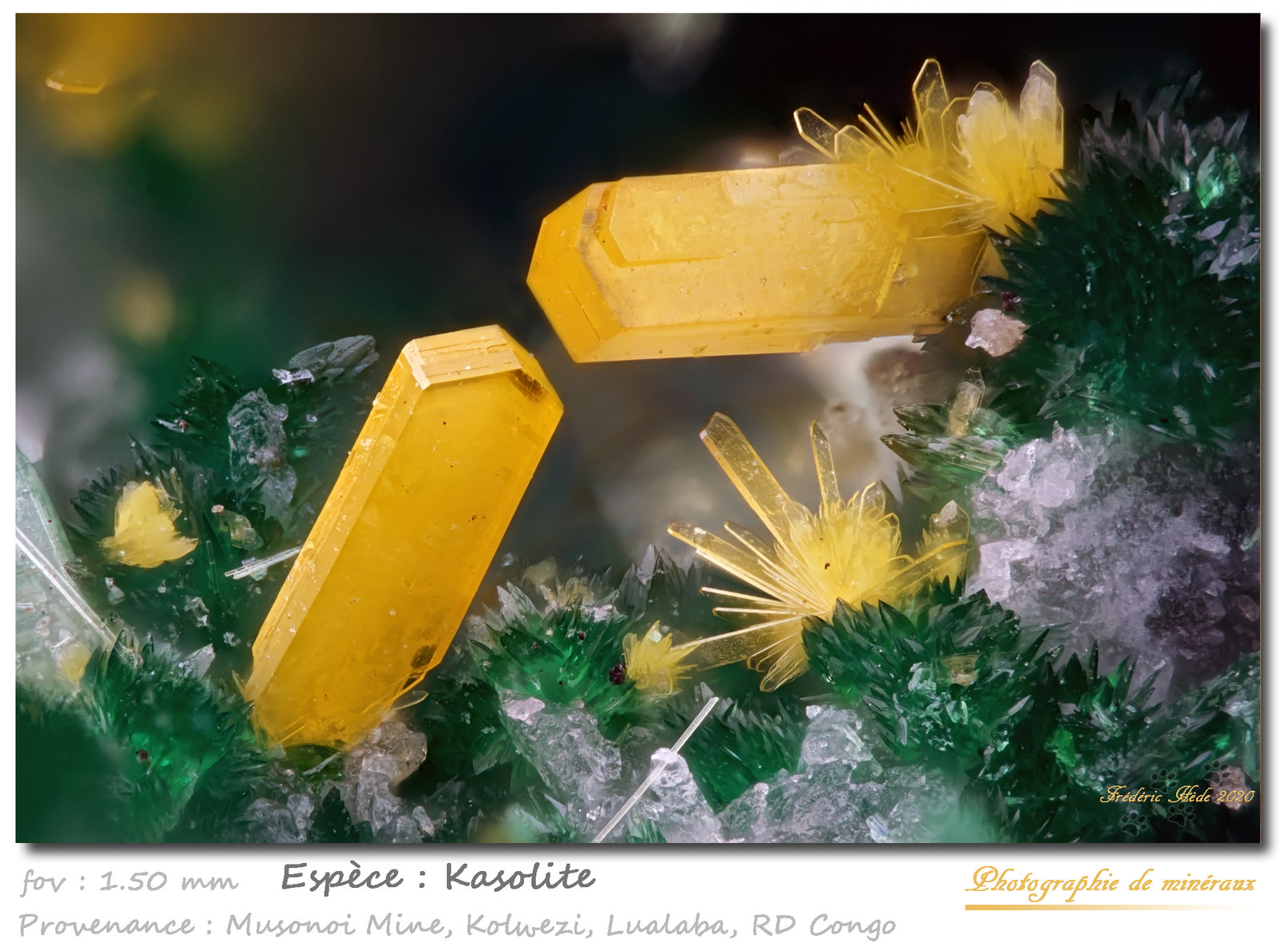 Kasolite
fov 1.50 mm
(Autor: ploum)