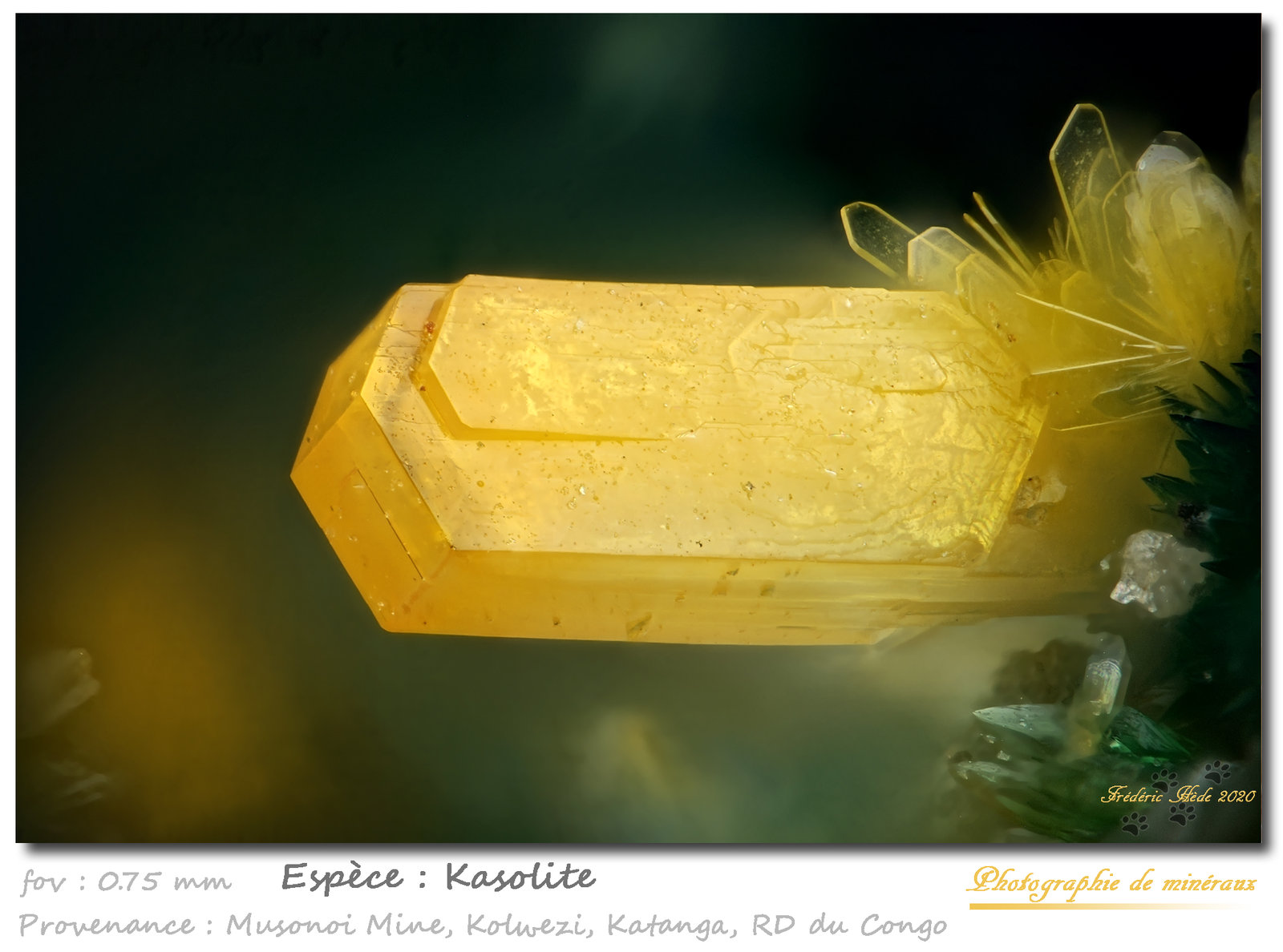 Kazolite
fov 0.75 mm
(Autor: ploum)