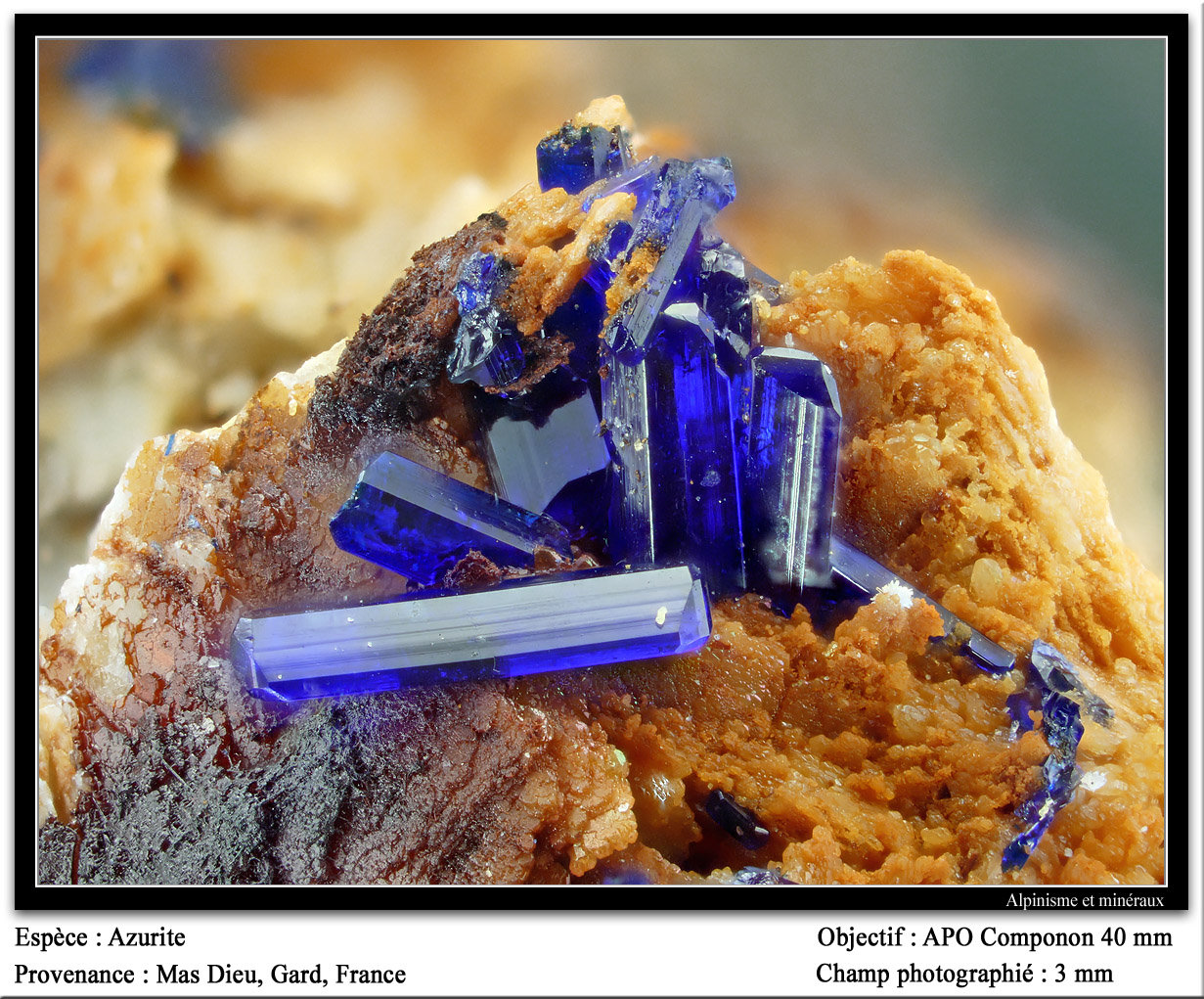 Azurite
fov 3 mm
(Autor: ploum)