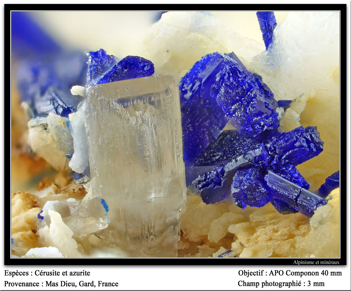 Cerussite and azurite
fov 3 mm
(Autor: ploum)