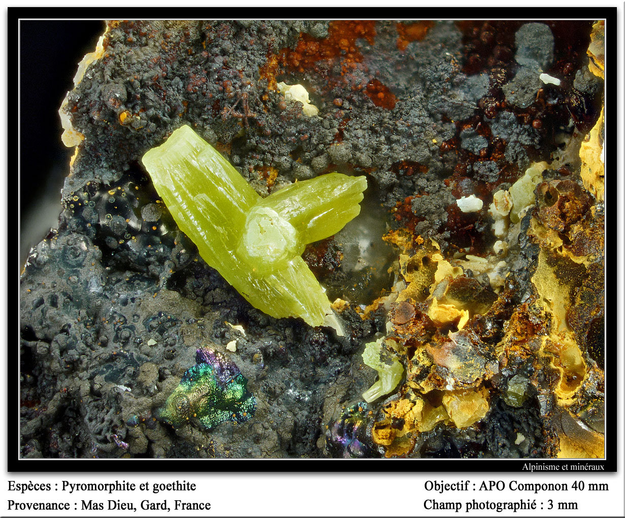 Pyromorphite and goethite
fov 3 mm
(Autor: ploum)