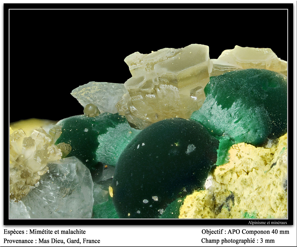 Mimetite and Malachite
fov 3 mm
(Autor: ploum)